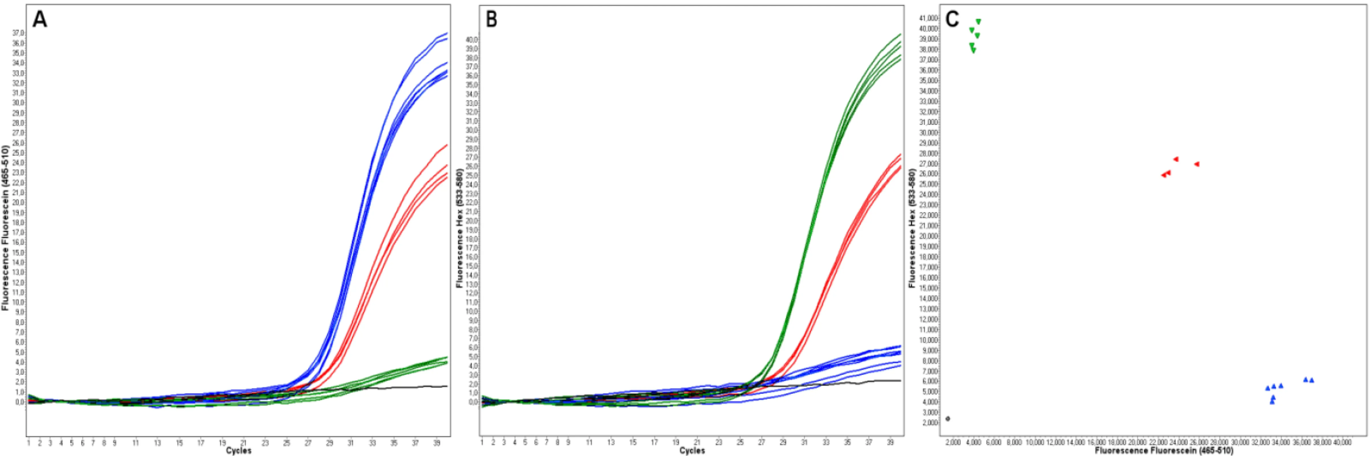 evaluation by scatter plot