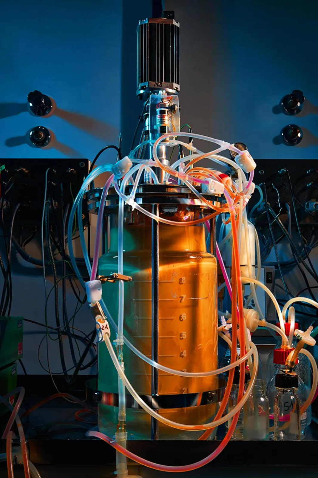 Monoclonal antibodies