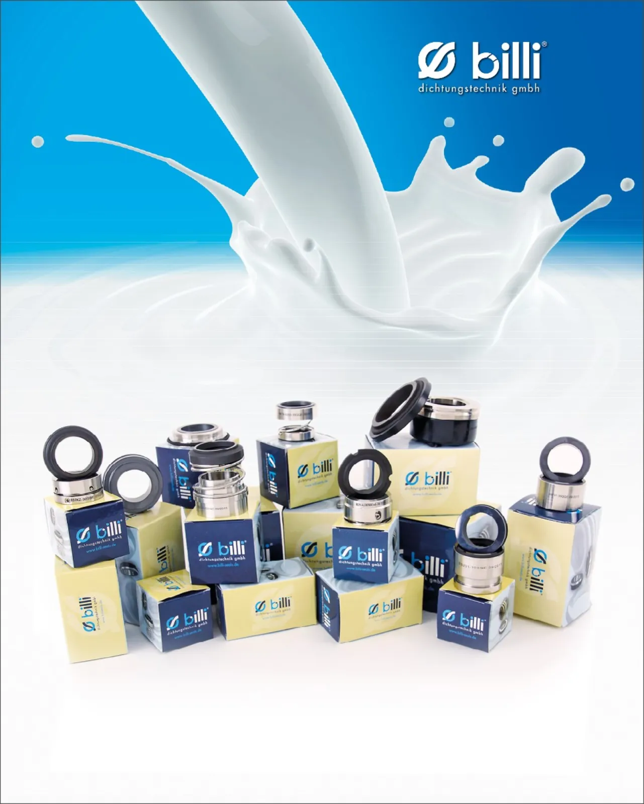 Mechanical Seal for Food