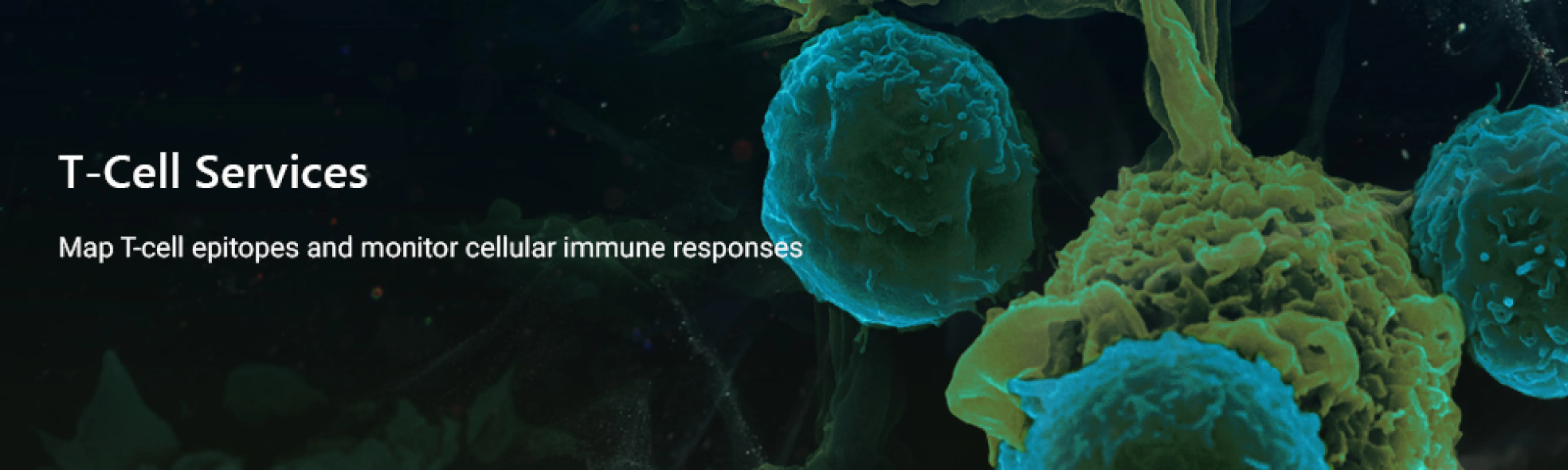 T Cell Services T Cell Services