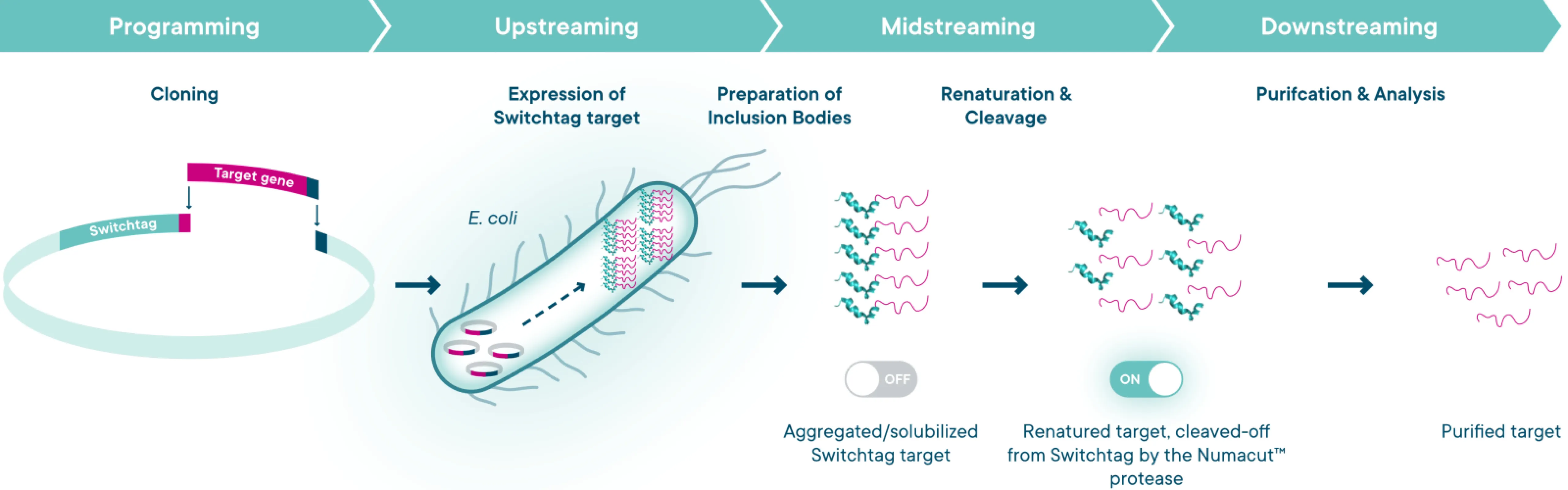Workflow of the Numaswitch Technology Workflow of the Numaswitch Technology