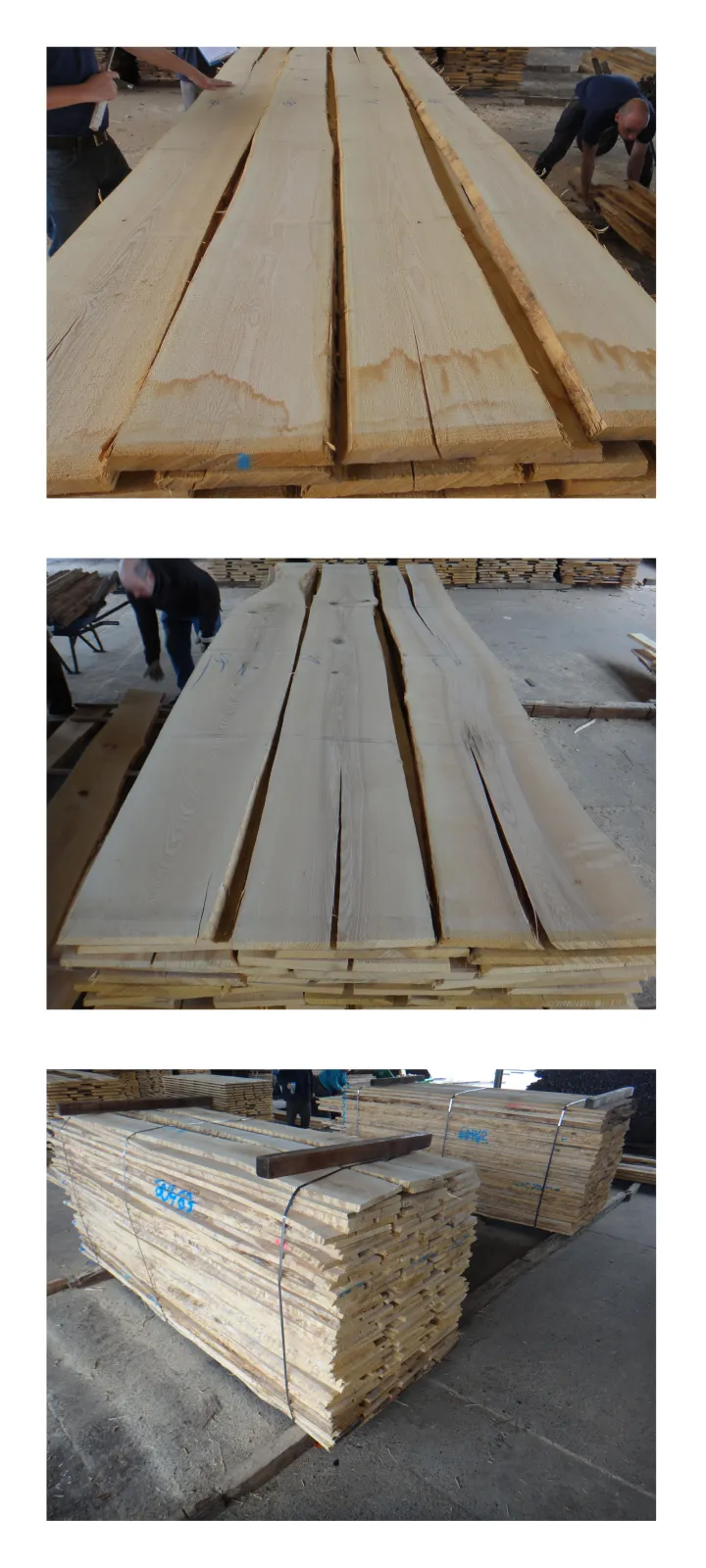 European Ash Lumber