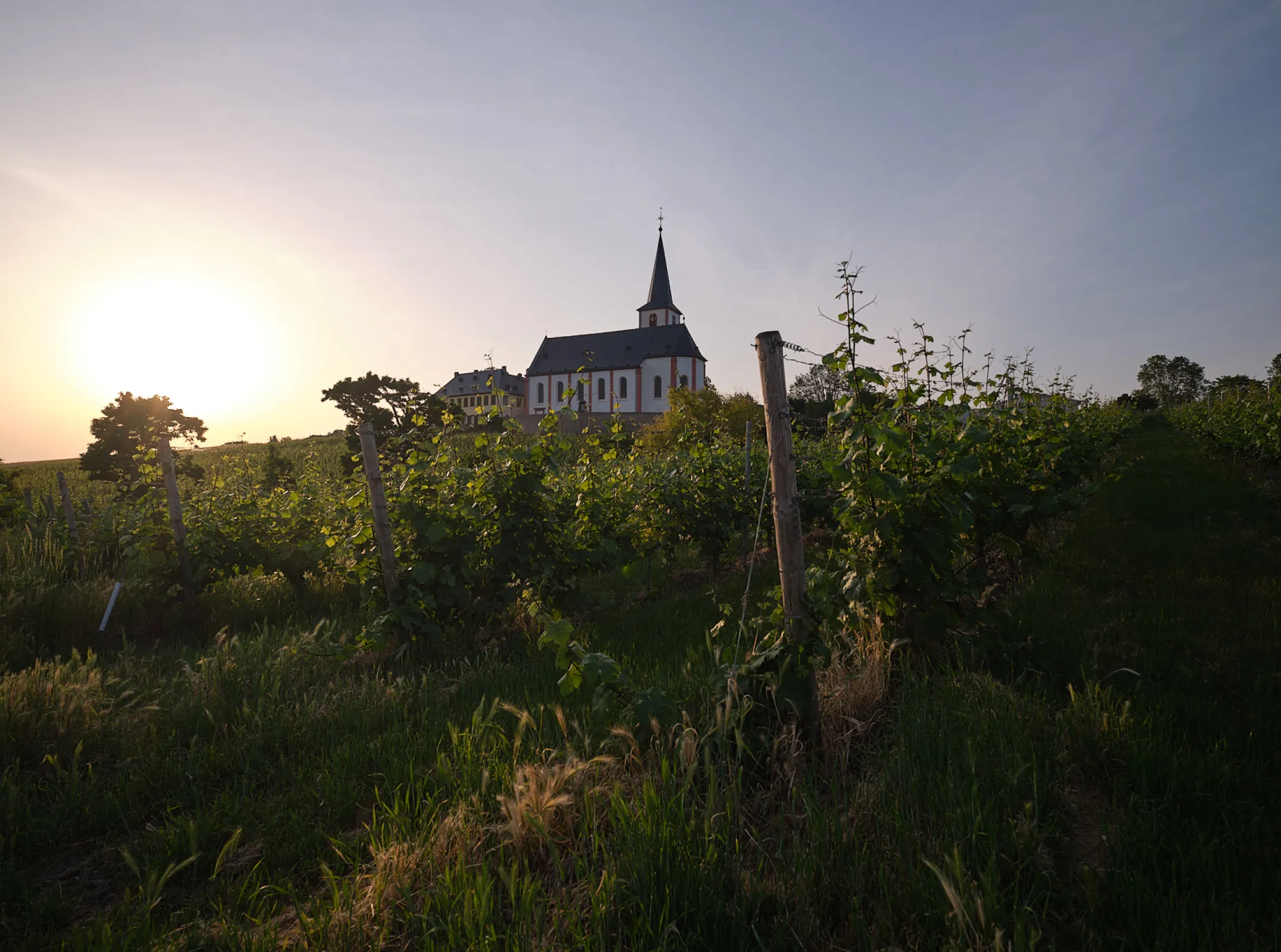 Hochheimer Kirchenstück