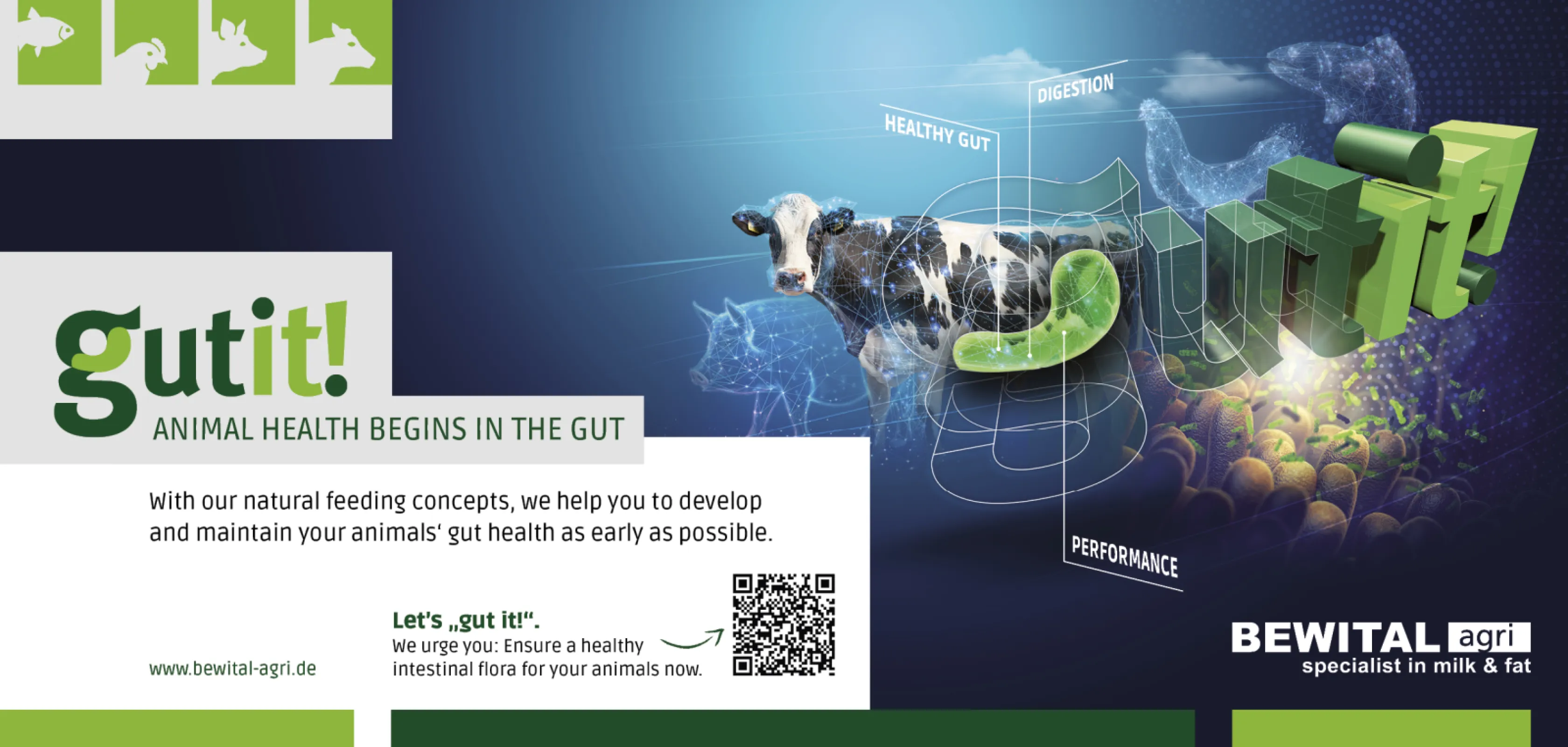 "Gut it!" - Animal health begins in the gut
