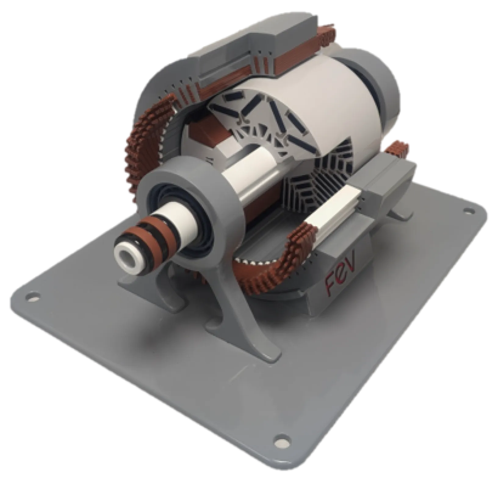 Electric machine with common stator and interchangeable rotors