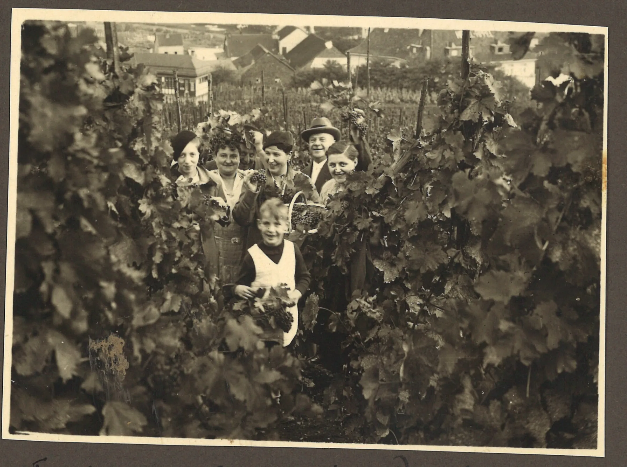 Harvest season in the 1930s