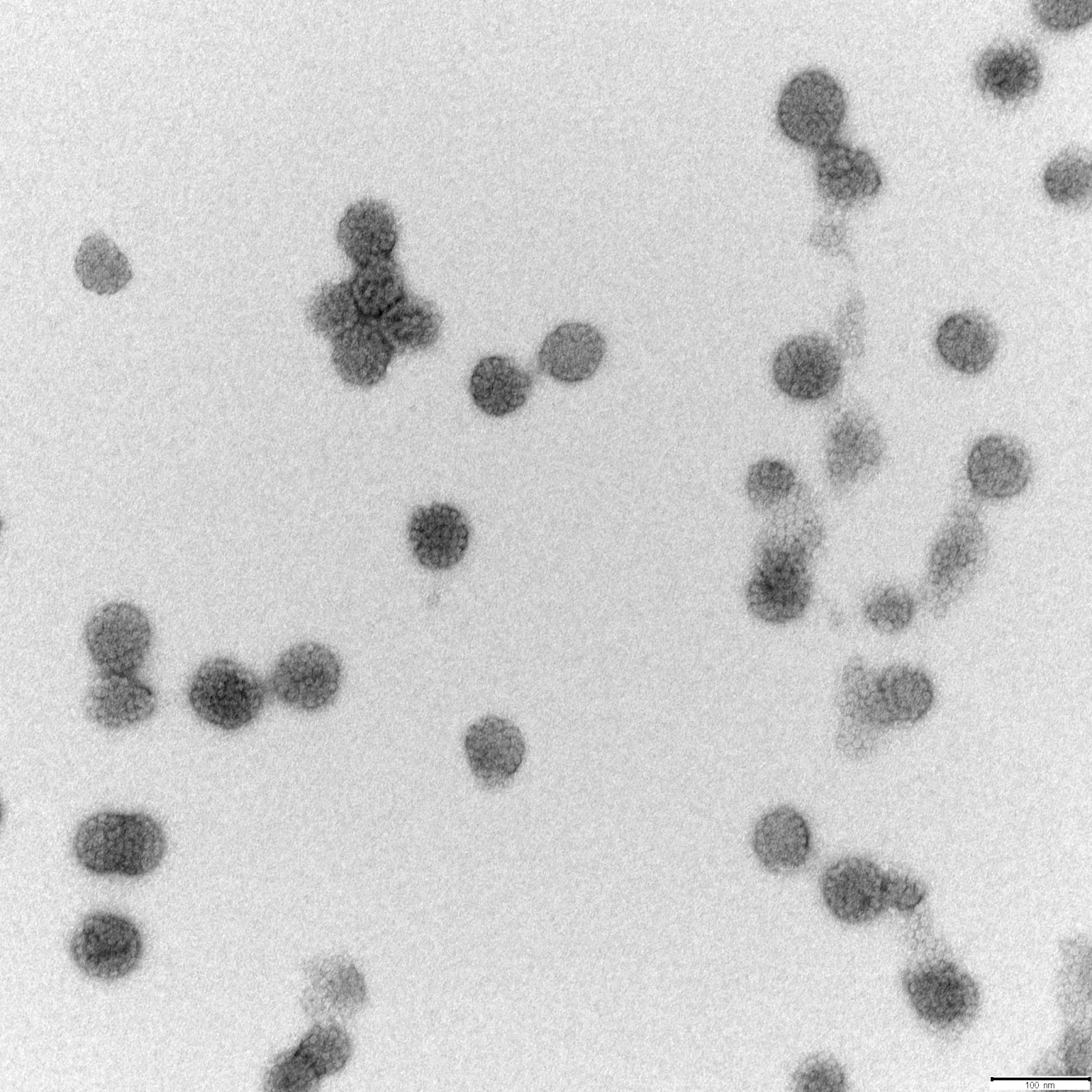 VLP's made with ARTES