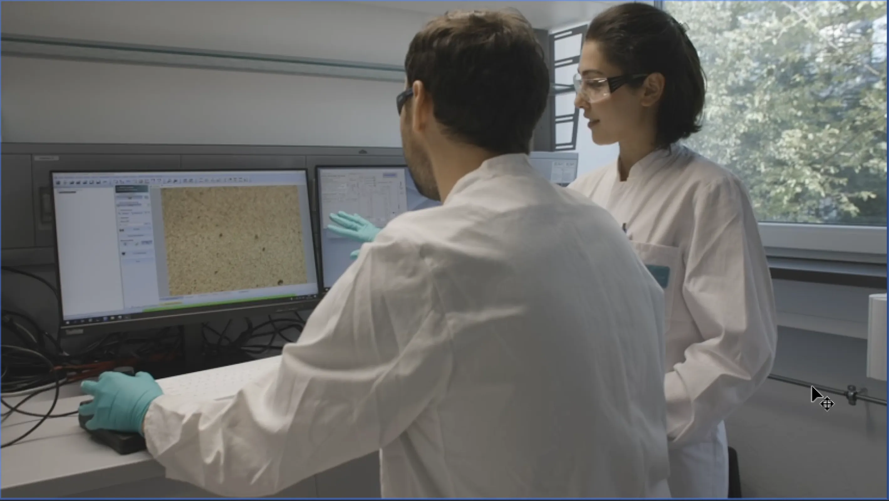 Particle Identification