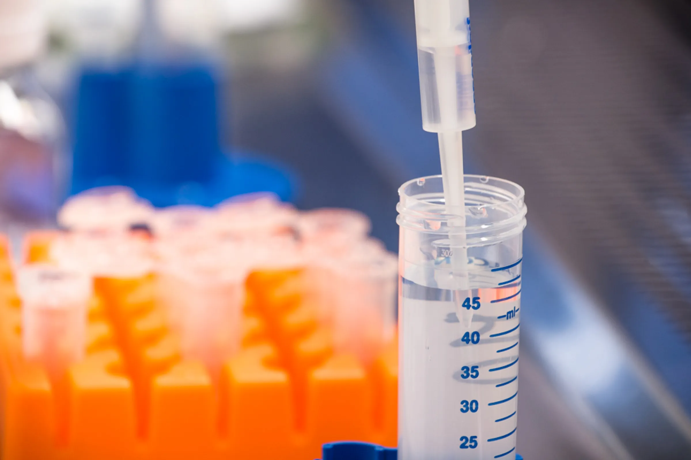 Formulation Development