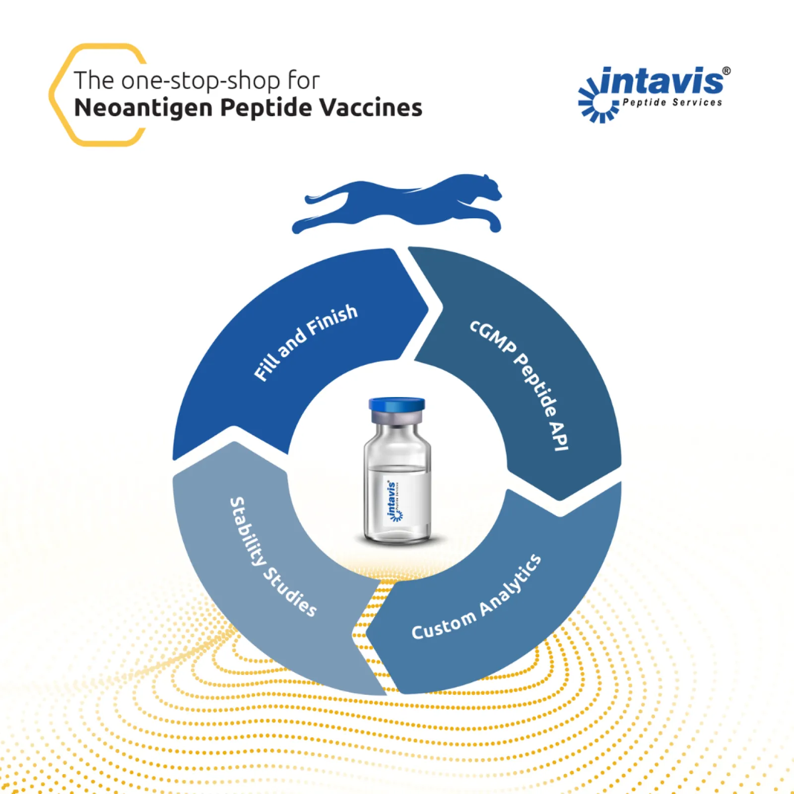 Neoantigen Peptide Vaccine Neoantigen Peptide Vaccine