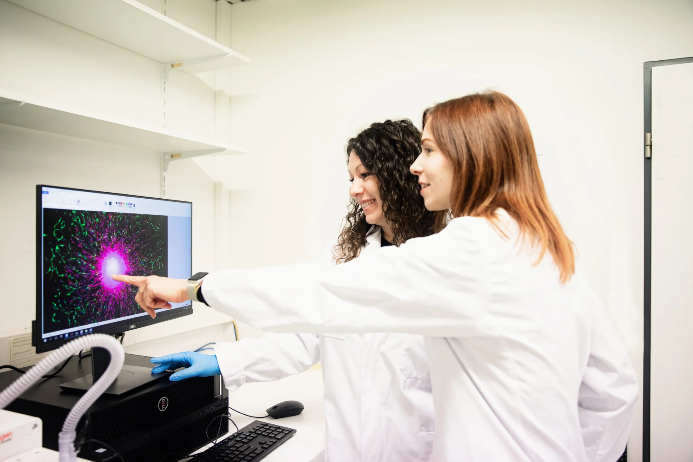 assessment of developmental neurotoxicity