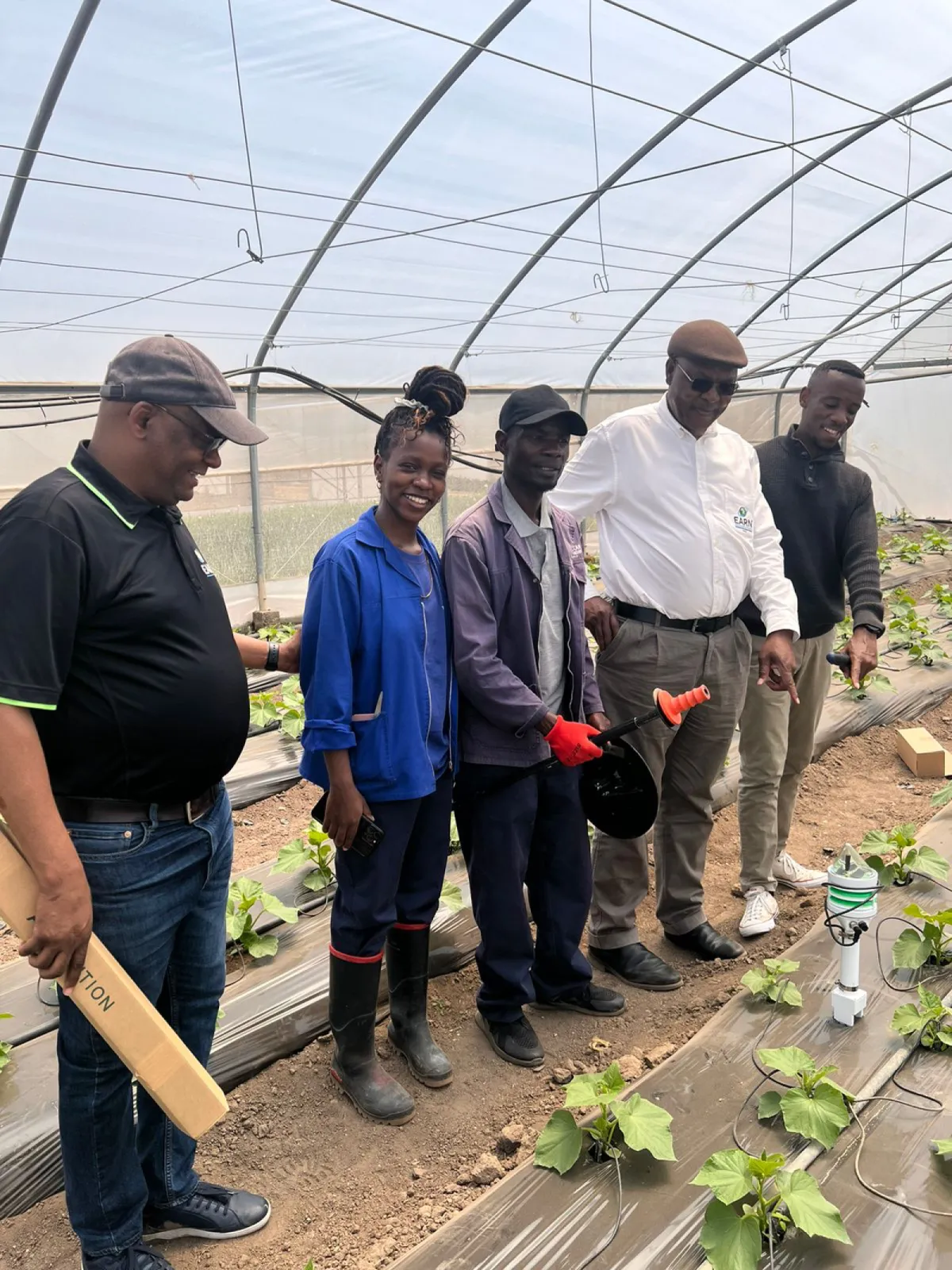 CLIMAVI microclimate + soil sensor in a foil tunnel