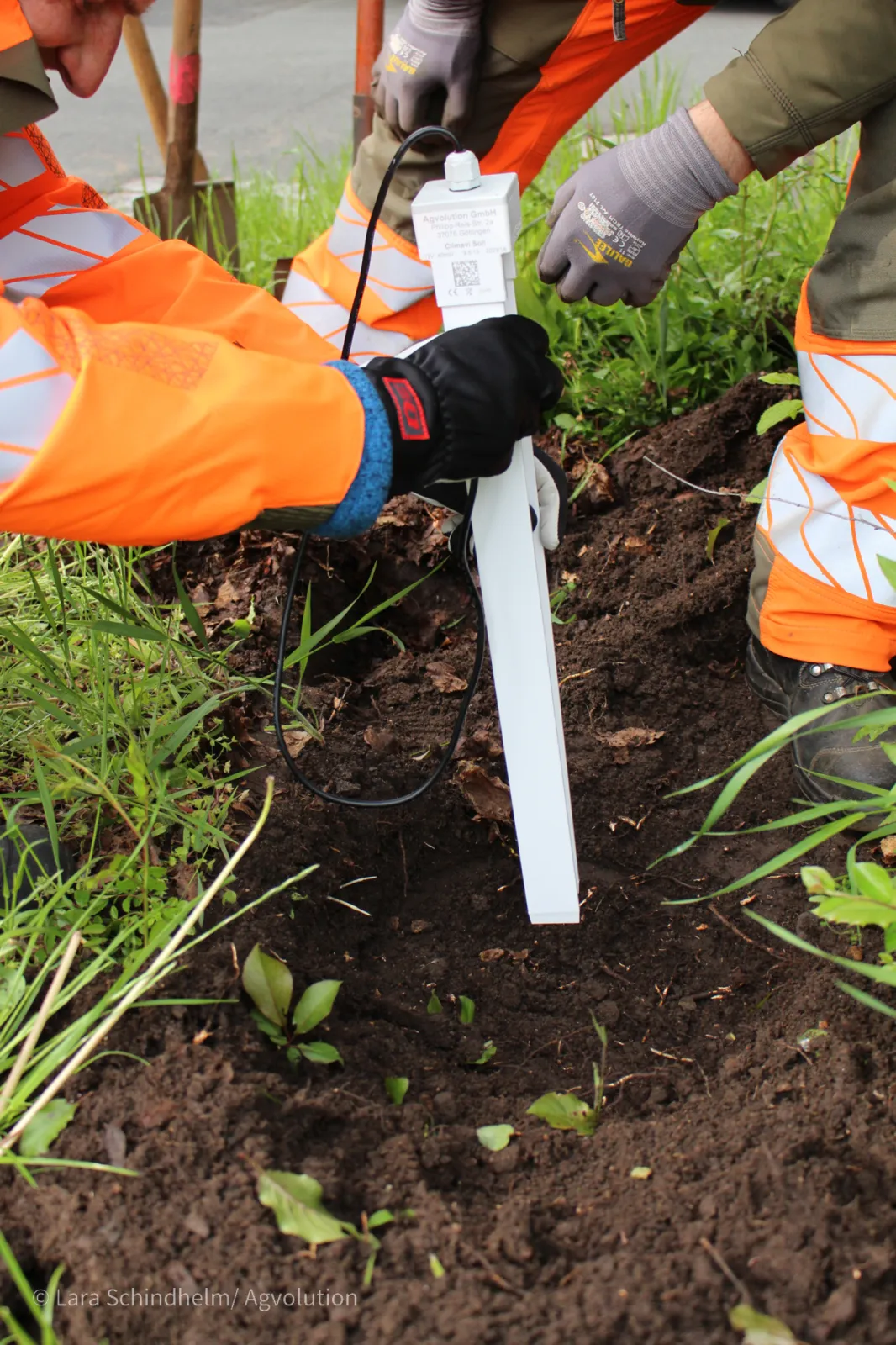 CLIMAVI Soil installation on an urban green space