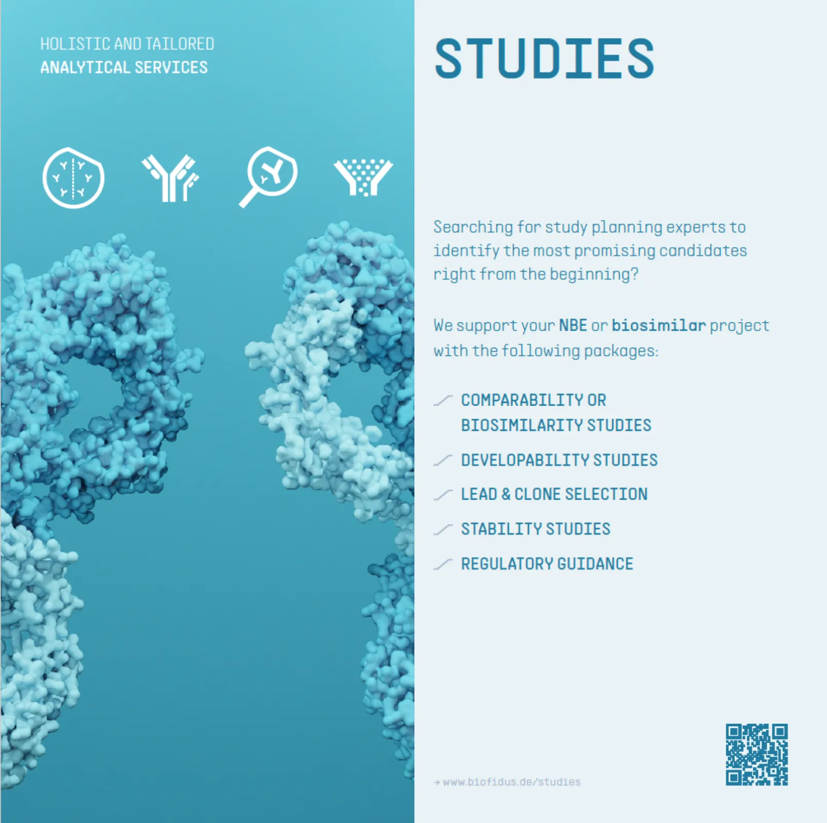 Service portfolio_Comprehensive studies