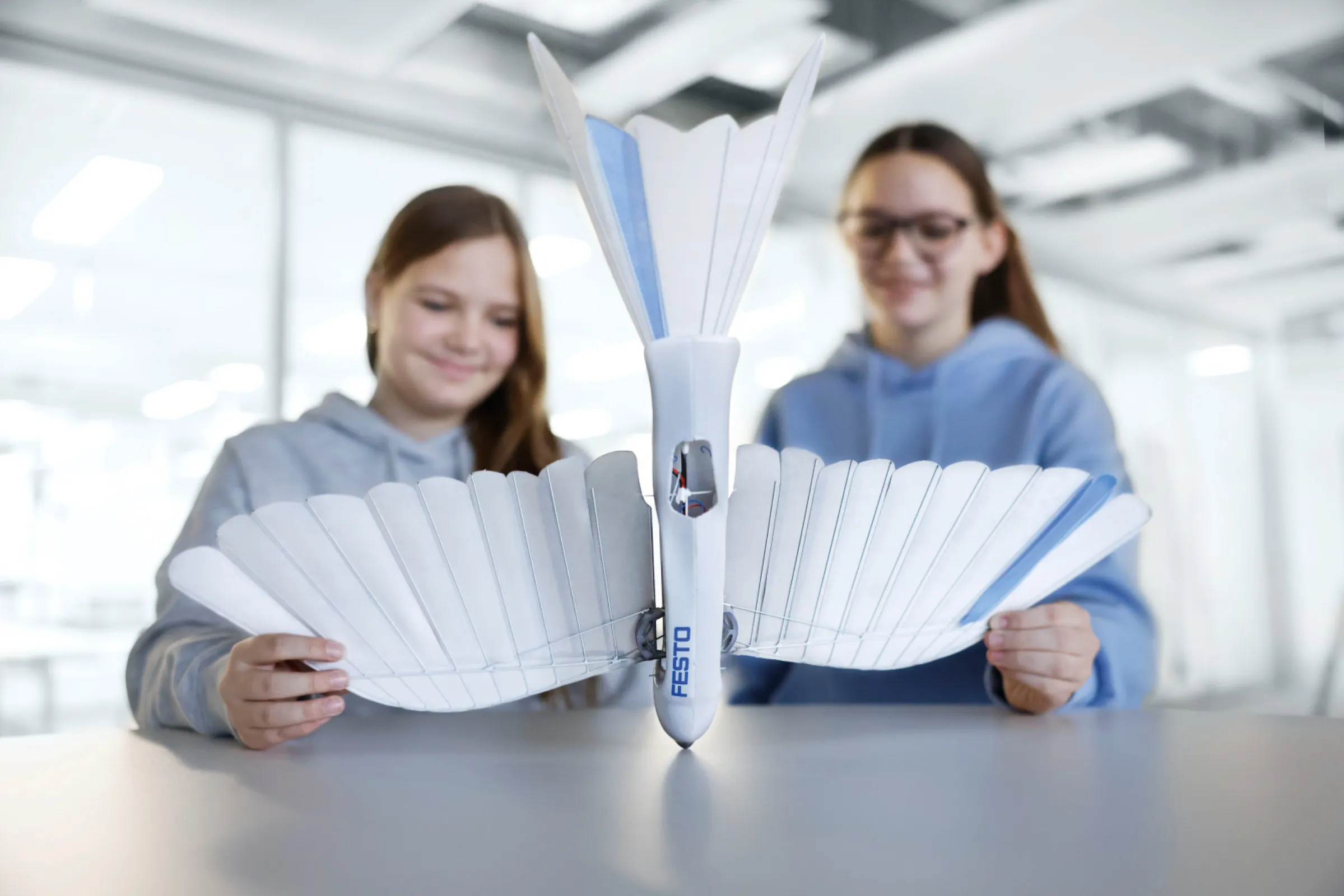 Bionics4Education - a bio-inspired robot, flying like a bird