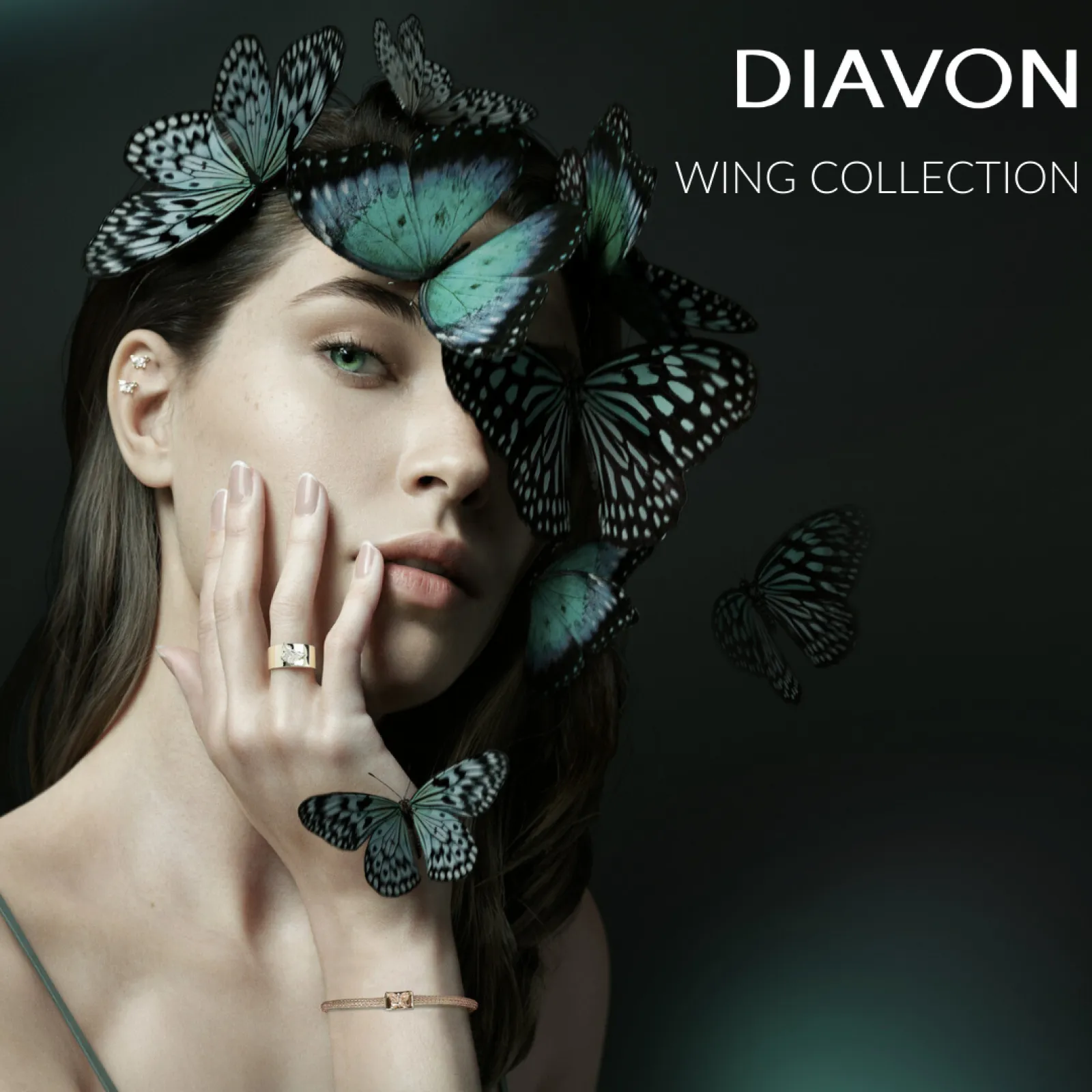 WING COLLECTION: THE BUTTERFLY’S METAMORPHOSIS.