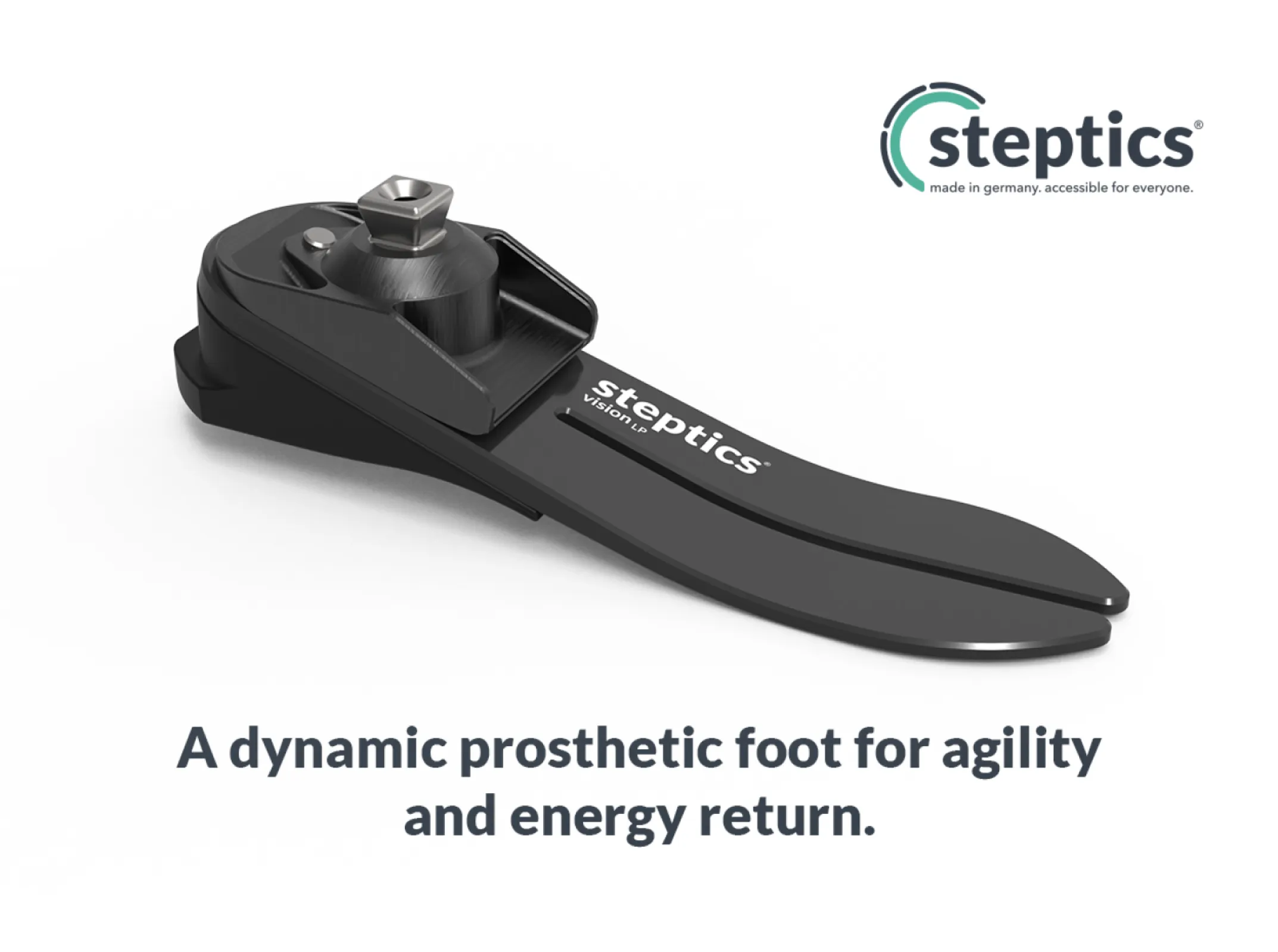 steptics vision LP carbon