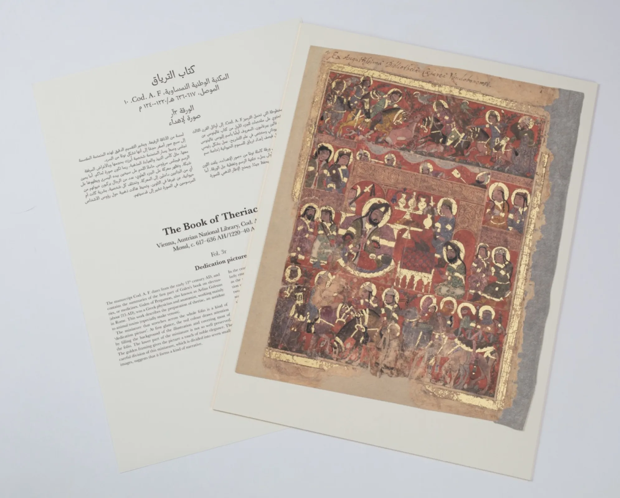 Dedication picture (from: The Book of Theriac, around 1220-40)