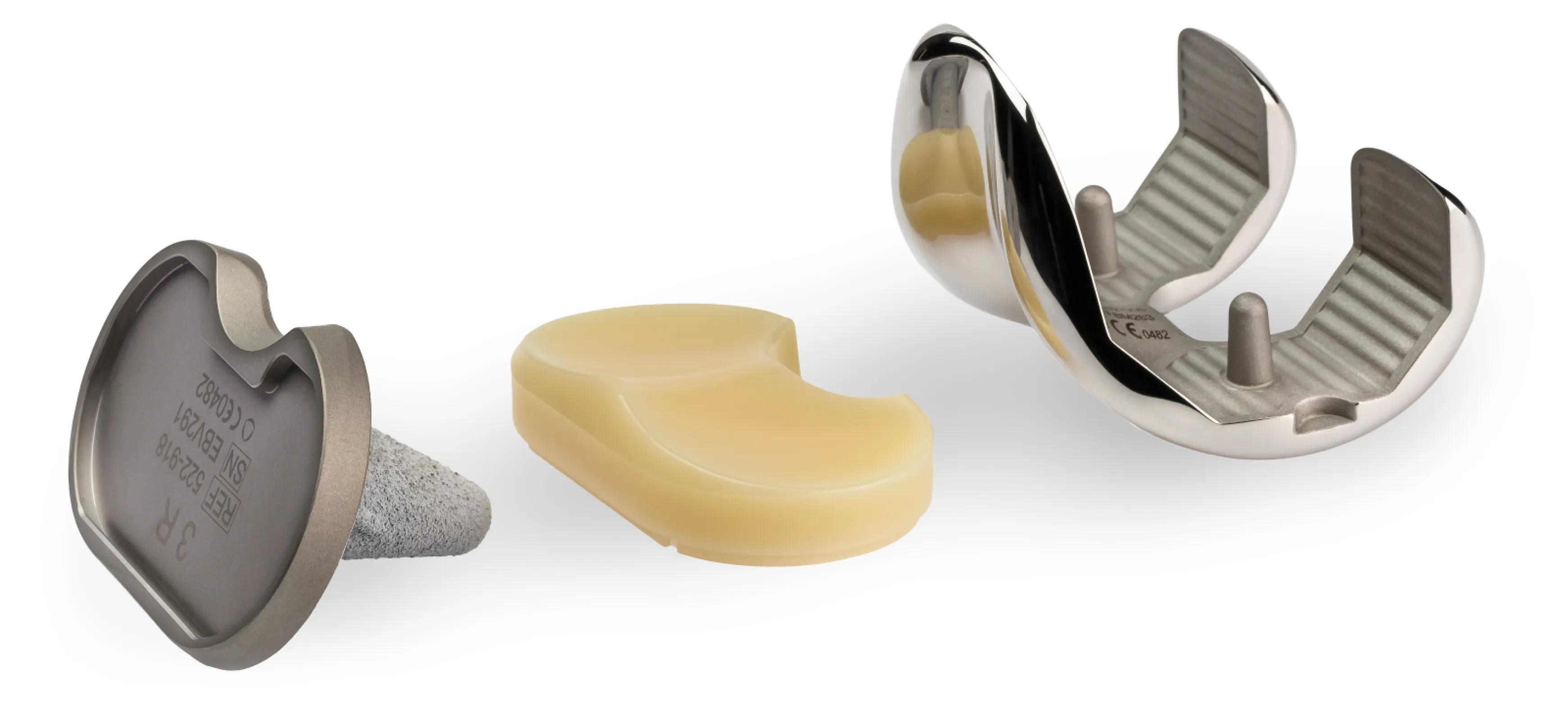 ZEN knee Fixed Bearing