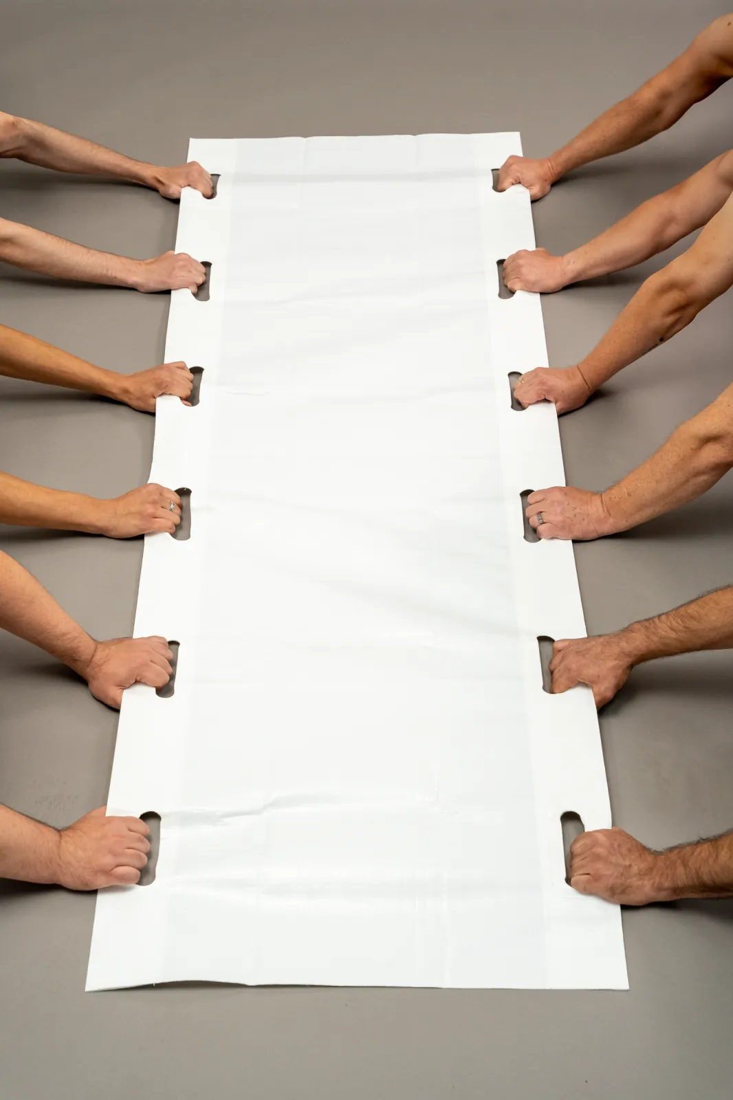 Disposable Carry Sheet