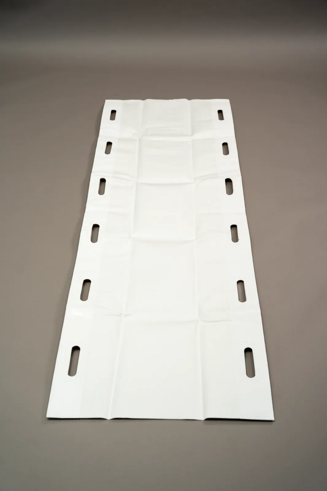 Disposable Carry Sheet