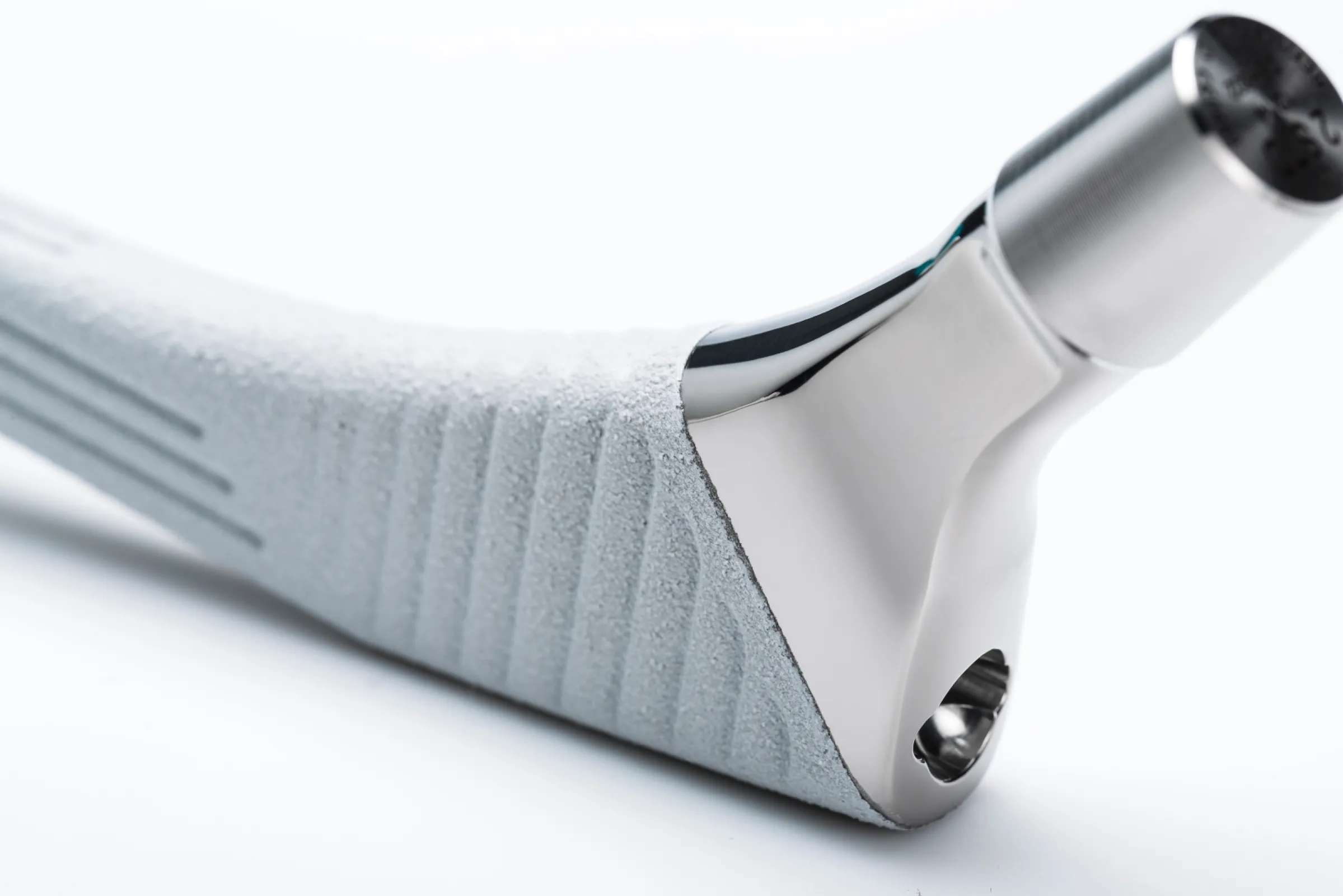 Expersus hip stem, cementless (detailed)