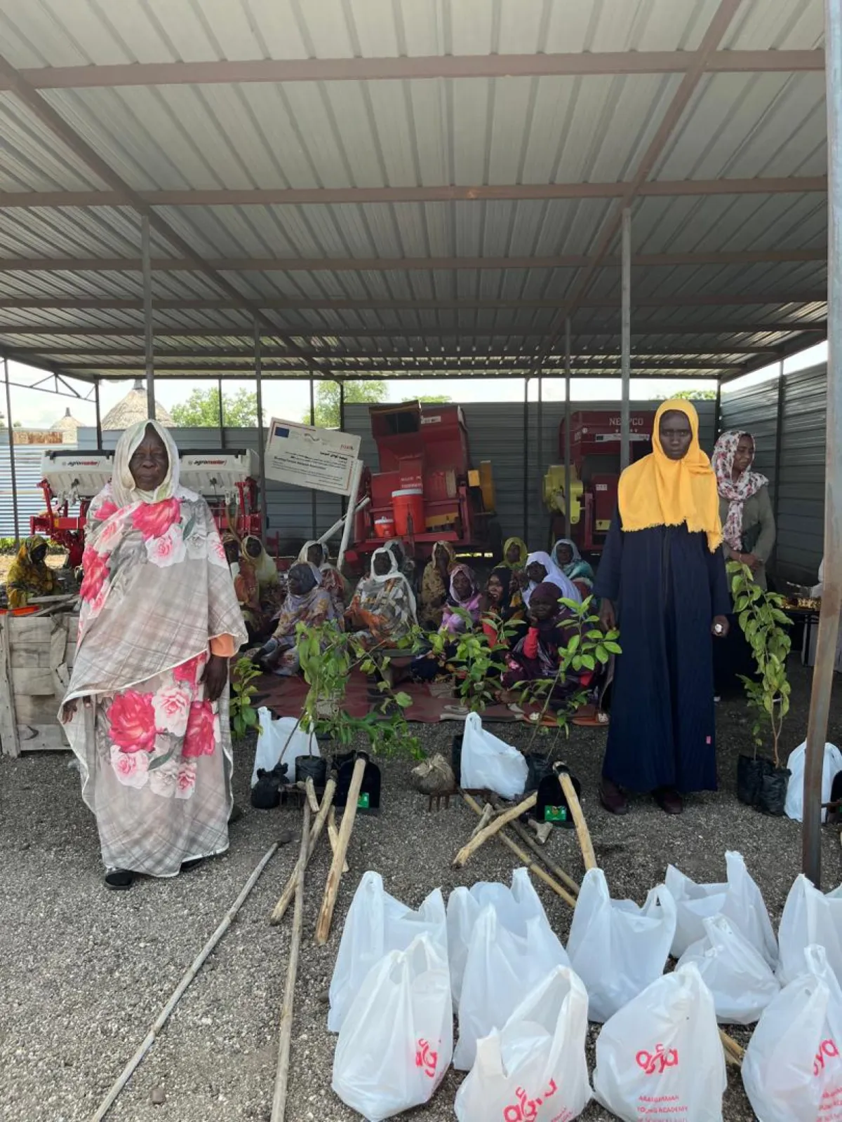AGYA research project - Women Managed Home Gardens in Sudan