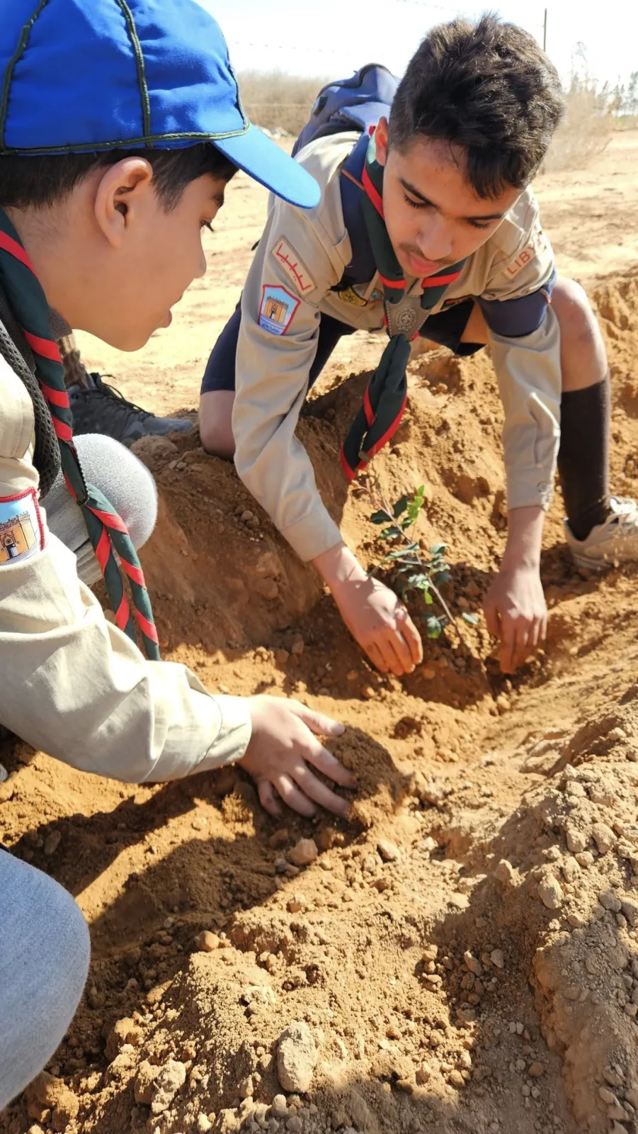 AGYA tree planting campaign in Benghazi, Libya