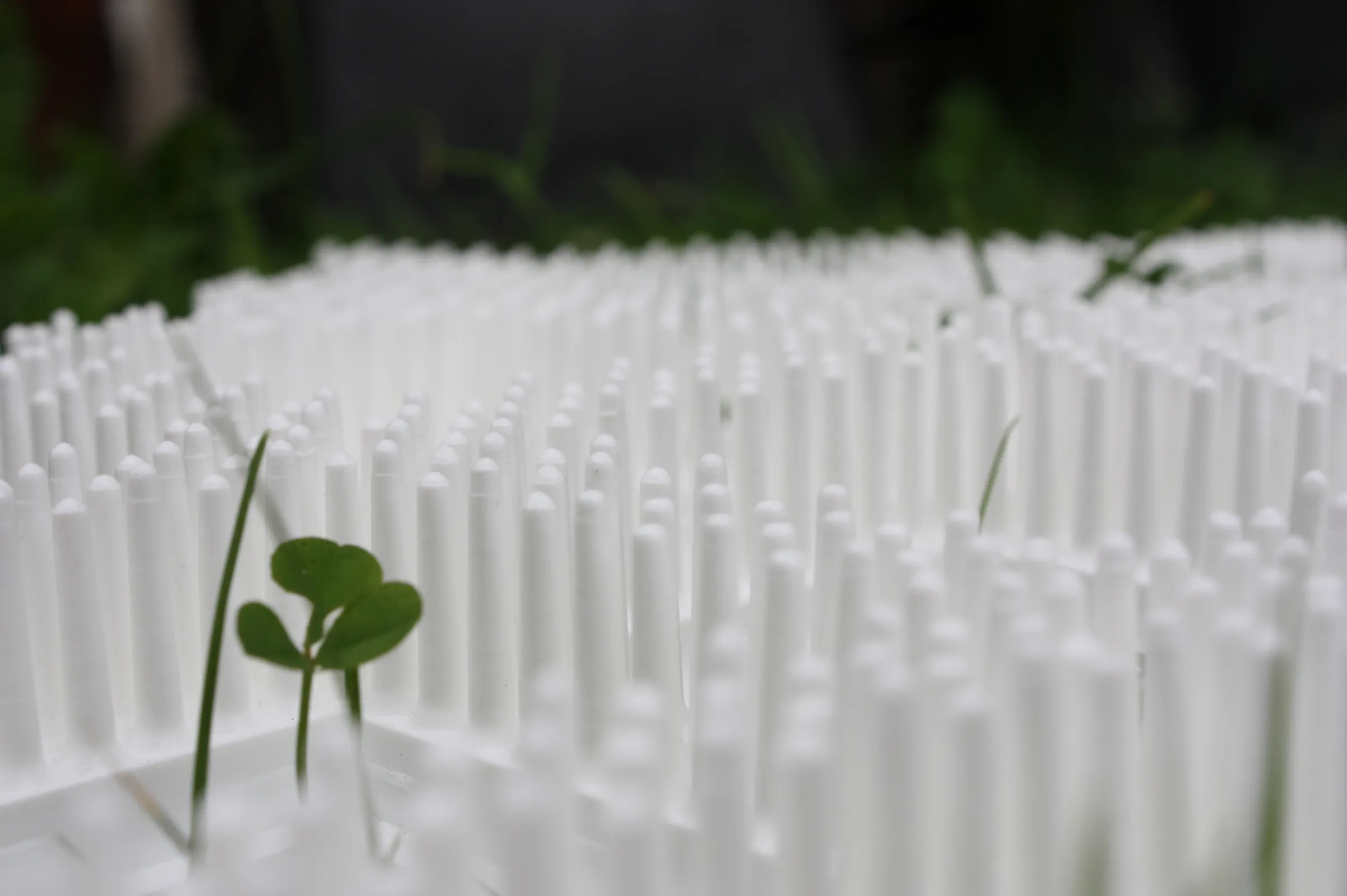 FAST - ROBUST - FLEXIBLE - ECO FRIENDLY