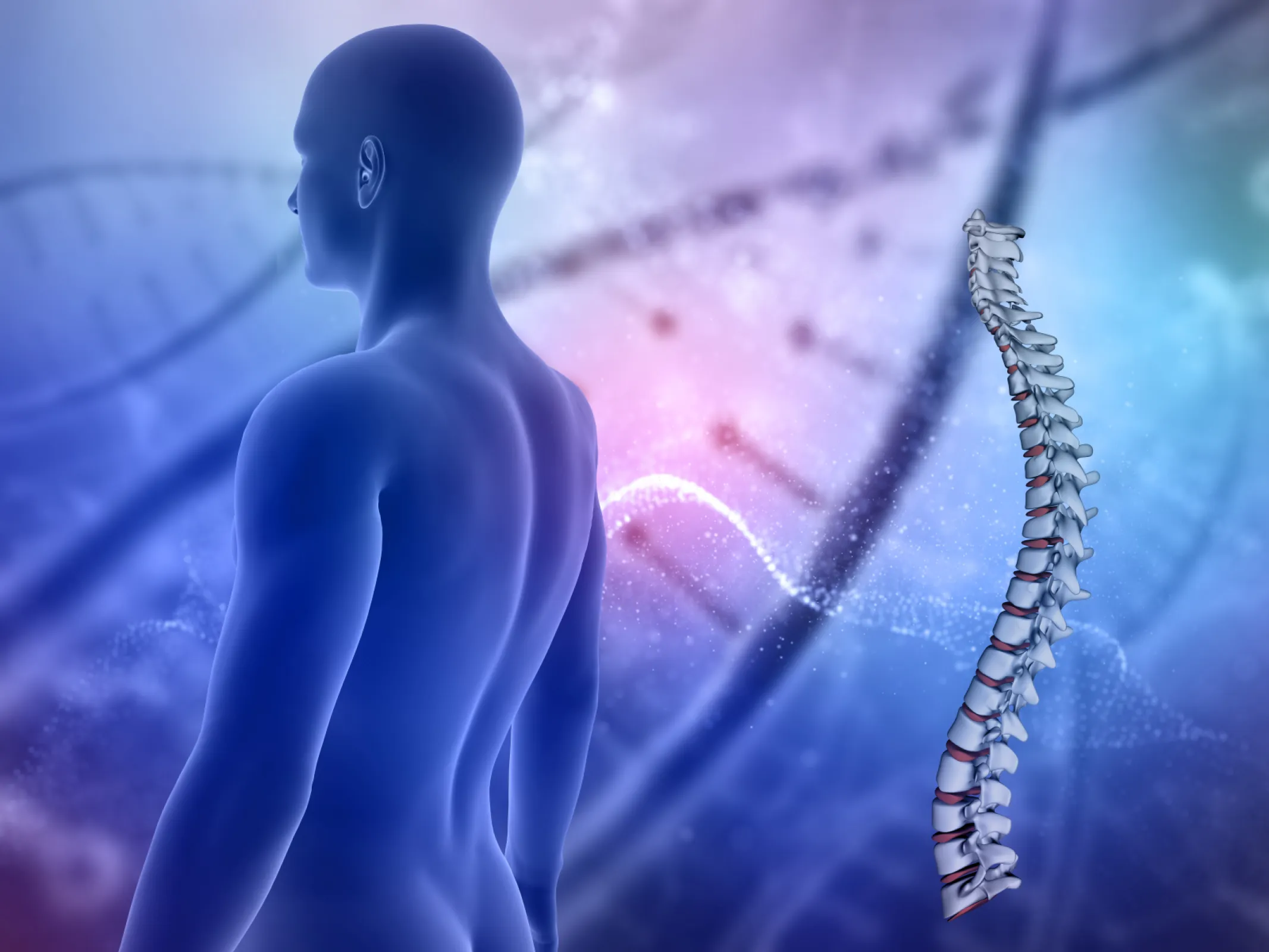 OPTIMIZING THE BODY STATICS