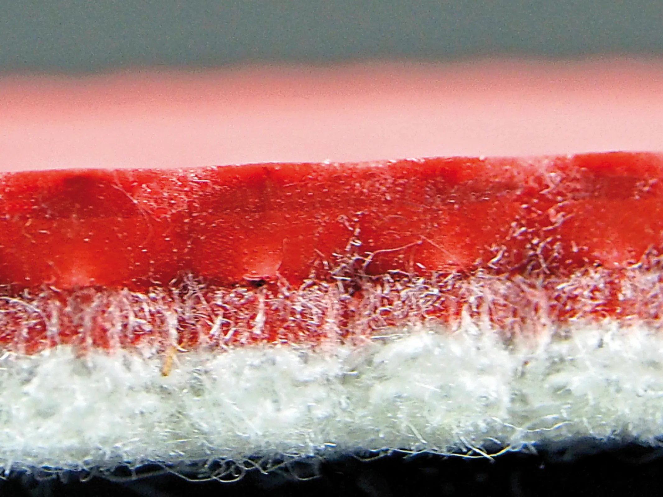 Endless Silicone Belt