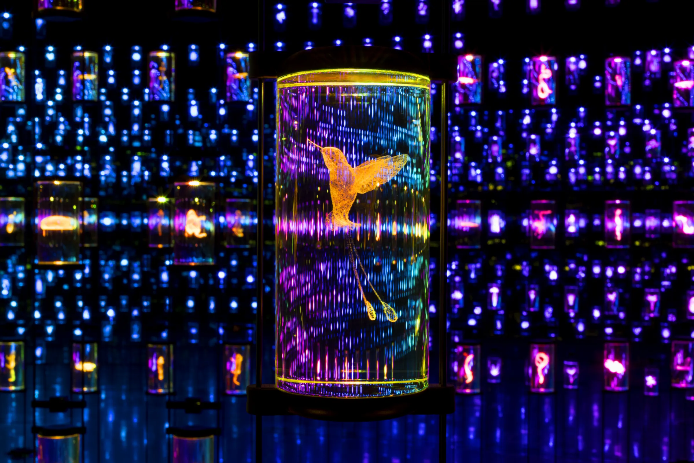 Vault of Life // Client: Al Tayer Stocks // Design: Atelier Brückner // In operation since: 2022