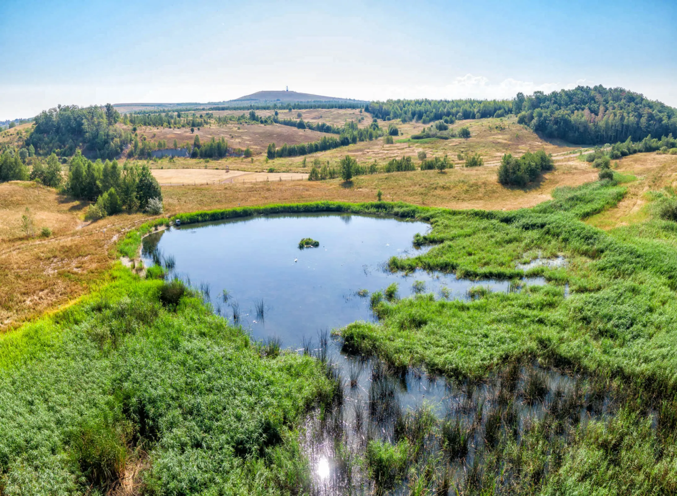 New perspectives: Remediated former mining sites provide new habitats for numerous plant and animal species as well as recreational sites for people