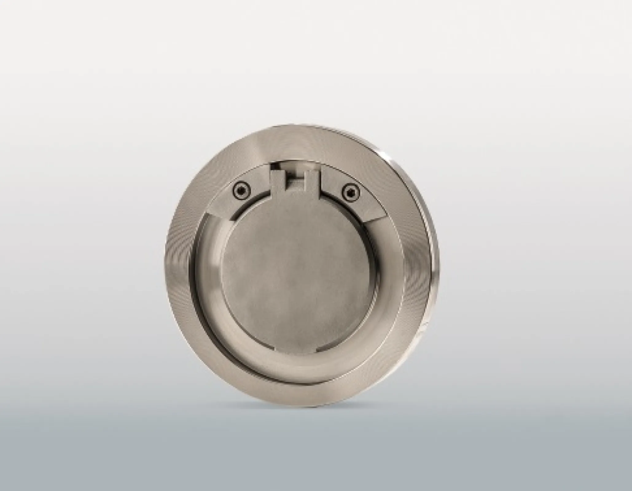 Swing Check Valve ZRK