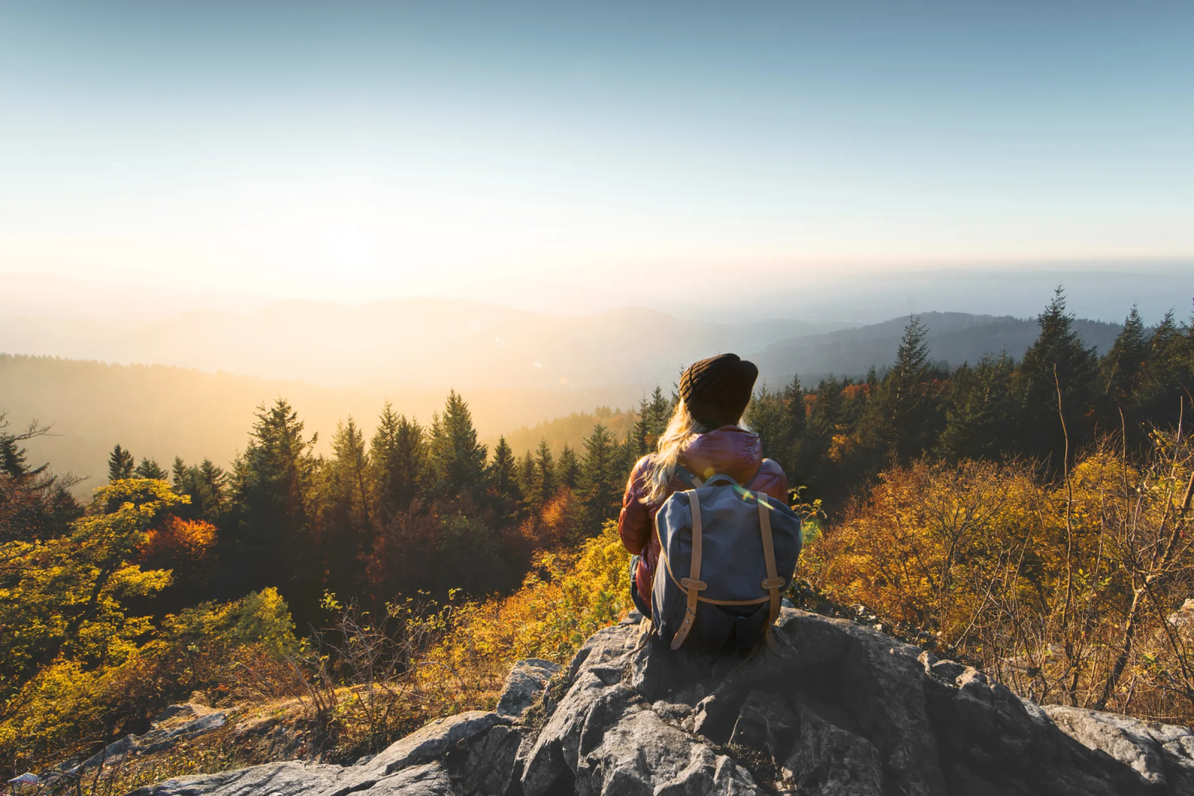 A lot of nature close to the city centre