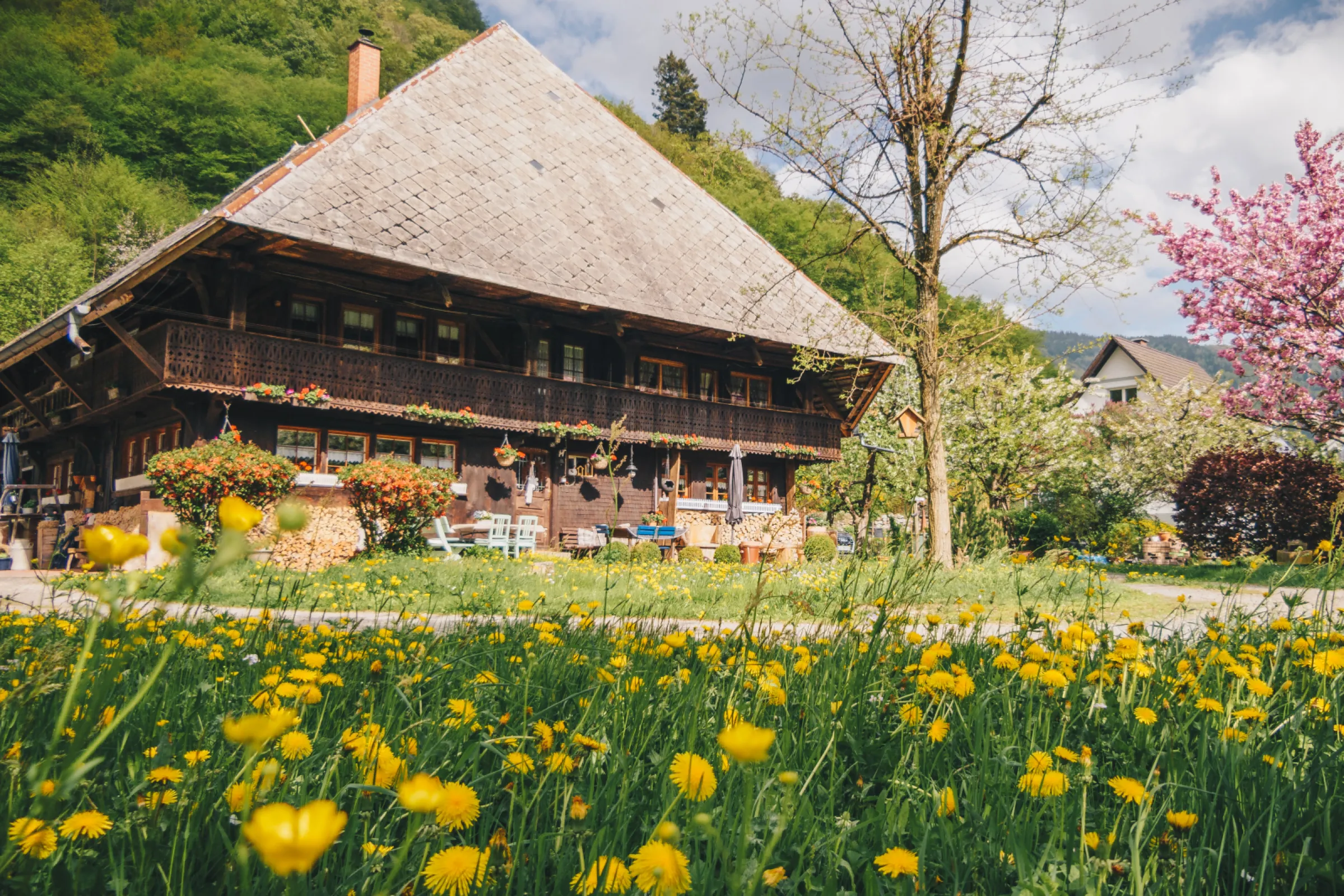 Typical for the Black Forest