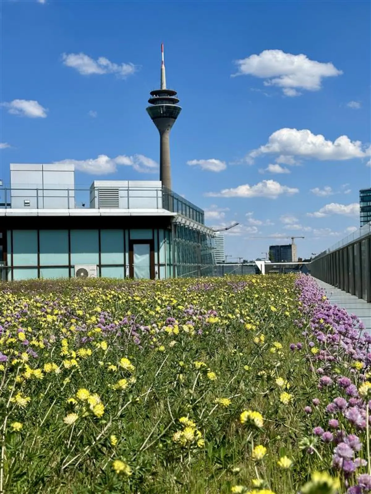 Since 2024, our headquarters in Germany have been located in the Medienhafen – right in the heart of Düsseldorf.