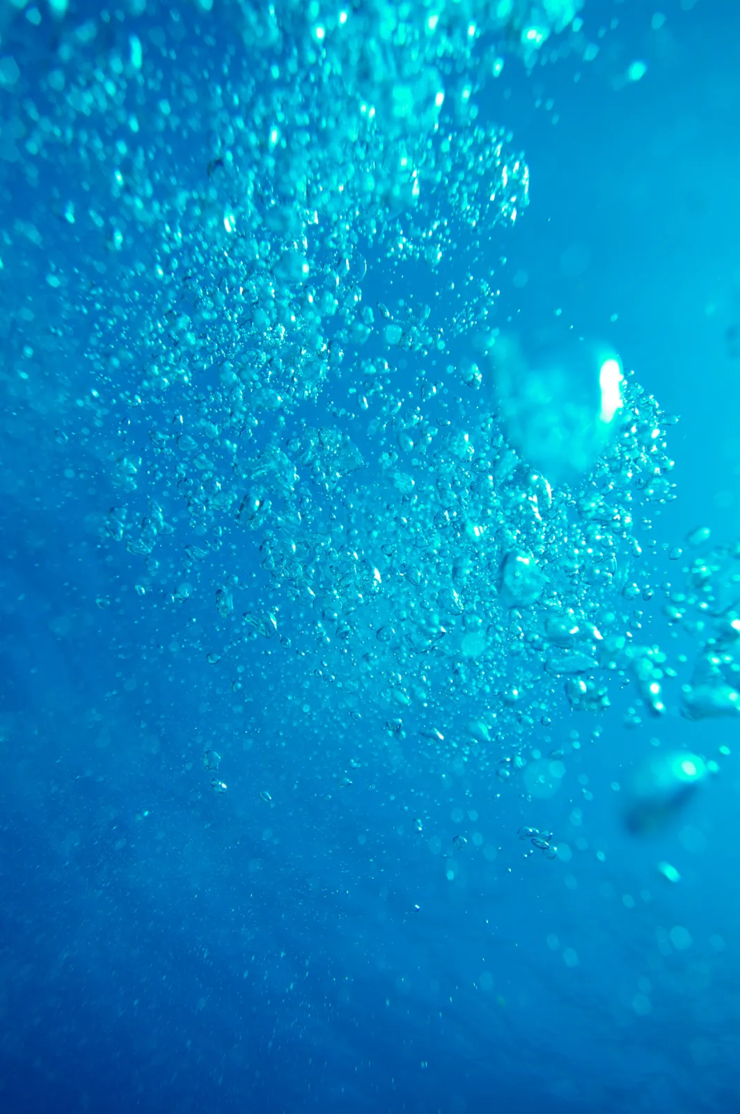 Industrial Heating Systems / Heat Carriers