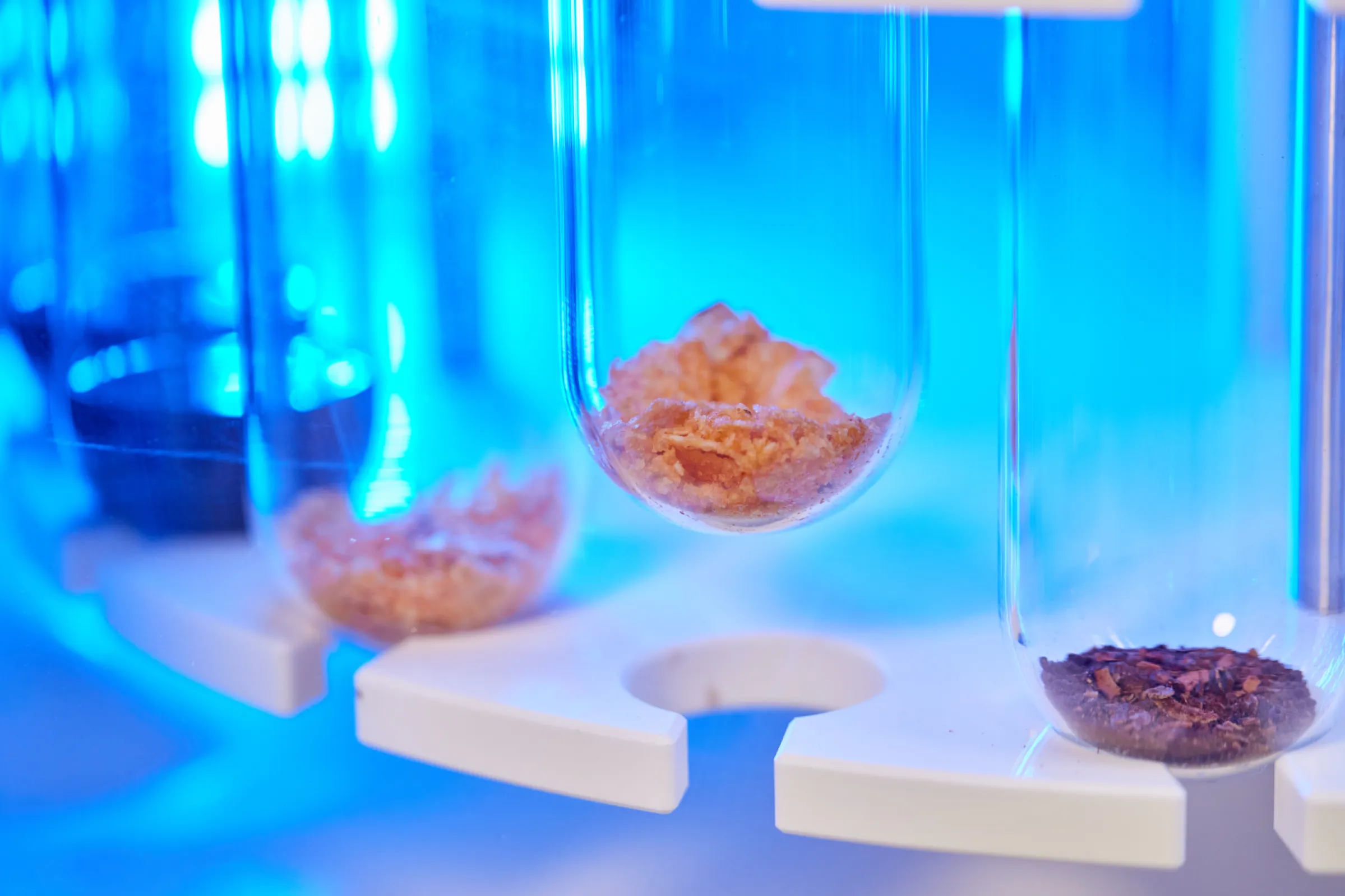 Process of determination