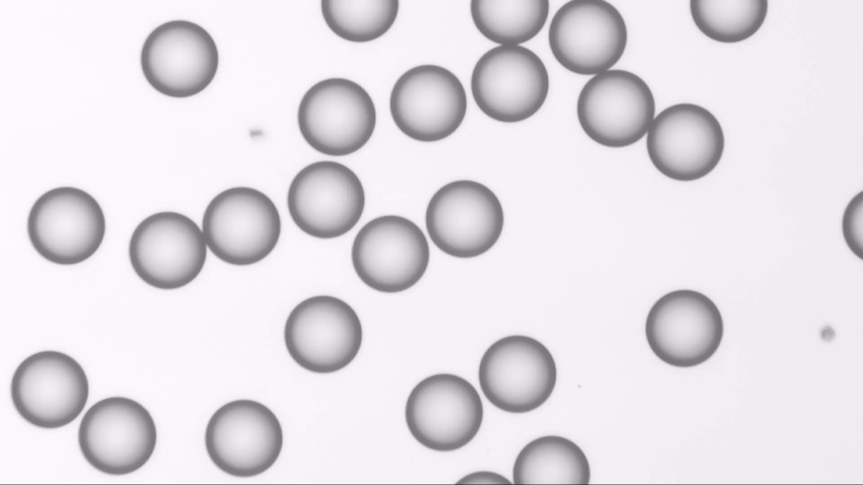 Precision in every Sphere