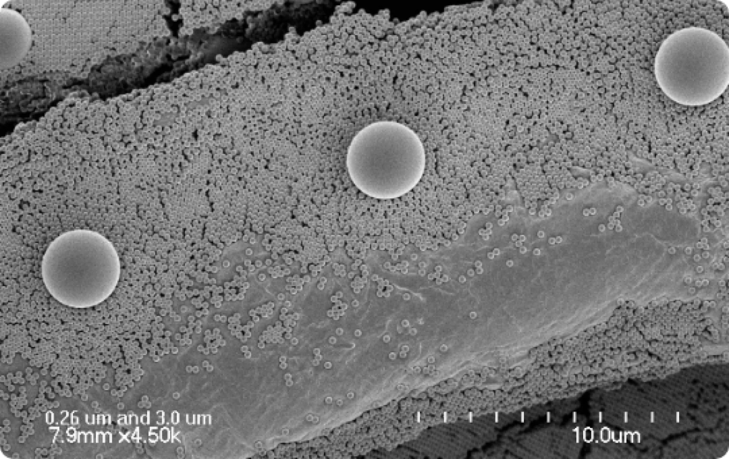 Multi Modal Size Standards