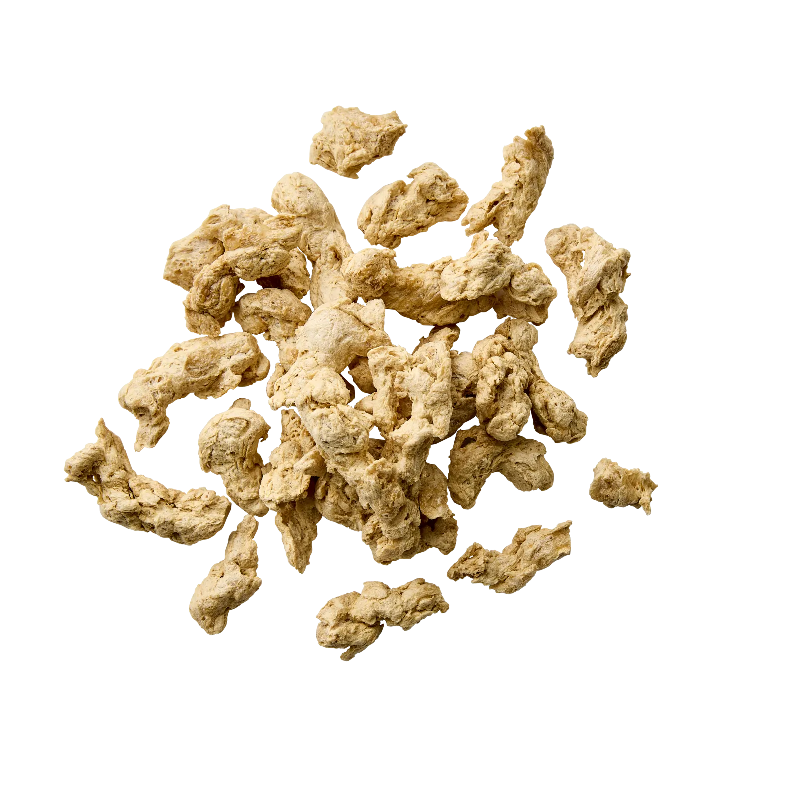 Texturized Pea Protein Large