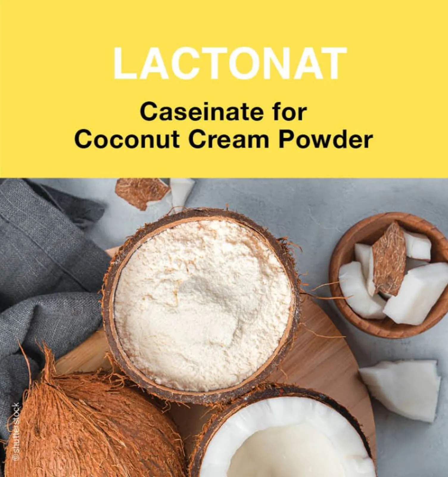 LACTONAT - caseinate for coconut cream powder