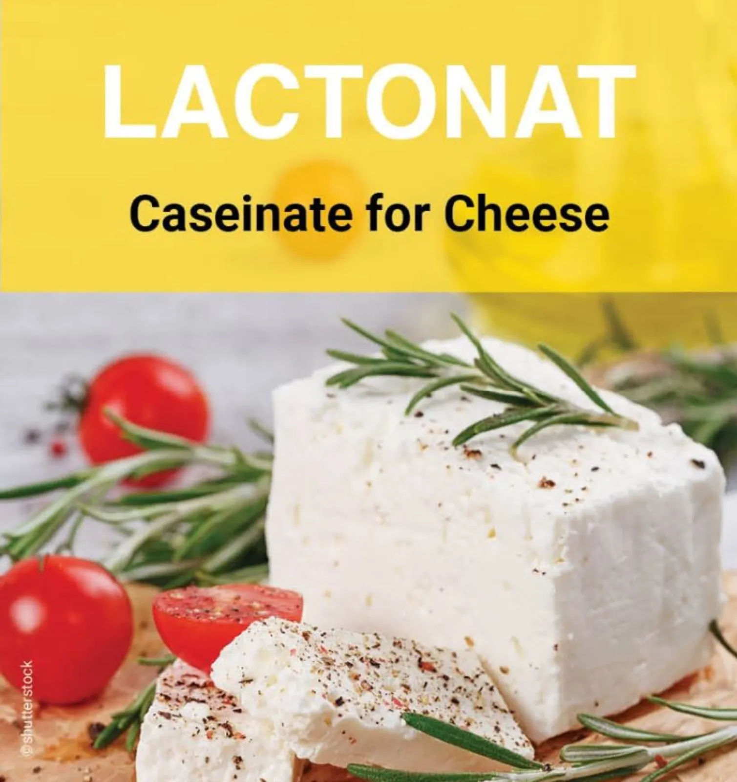 LACTONAT - caseinate for cheese