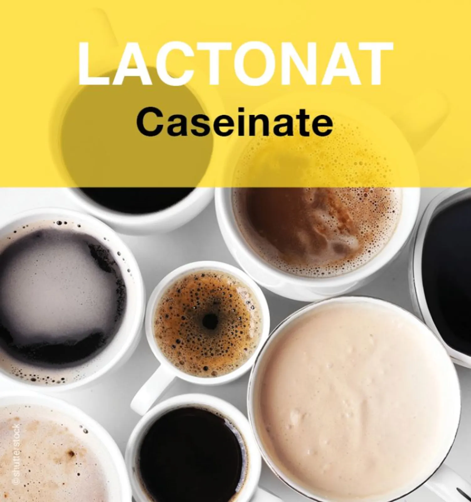 LACTONAT - caseinate for coffee creamer