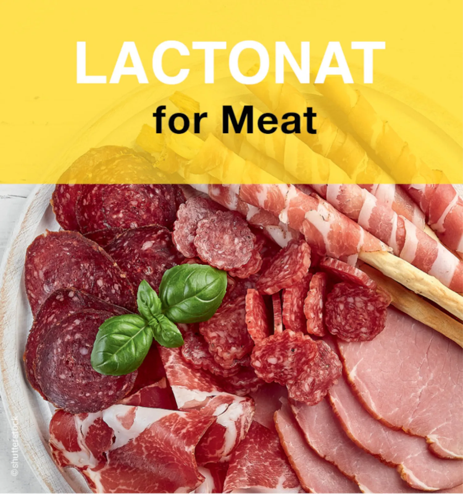 LACTONAT - caseinate for meat applications