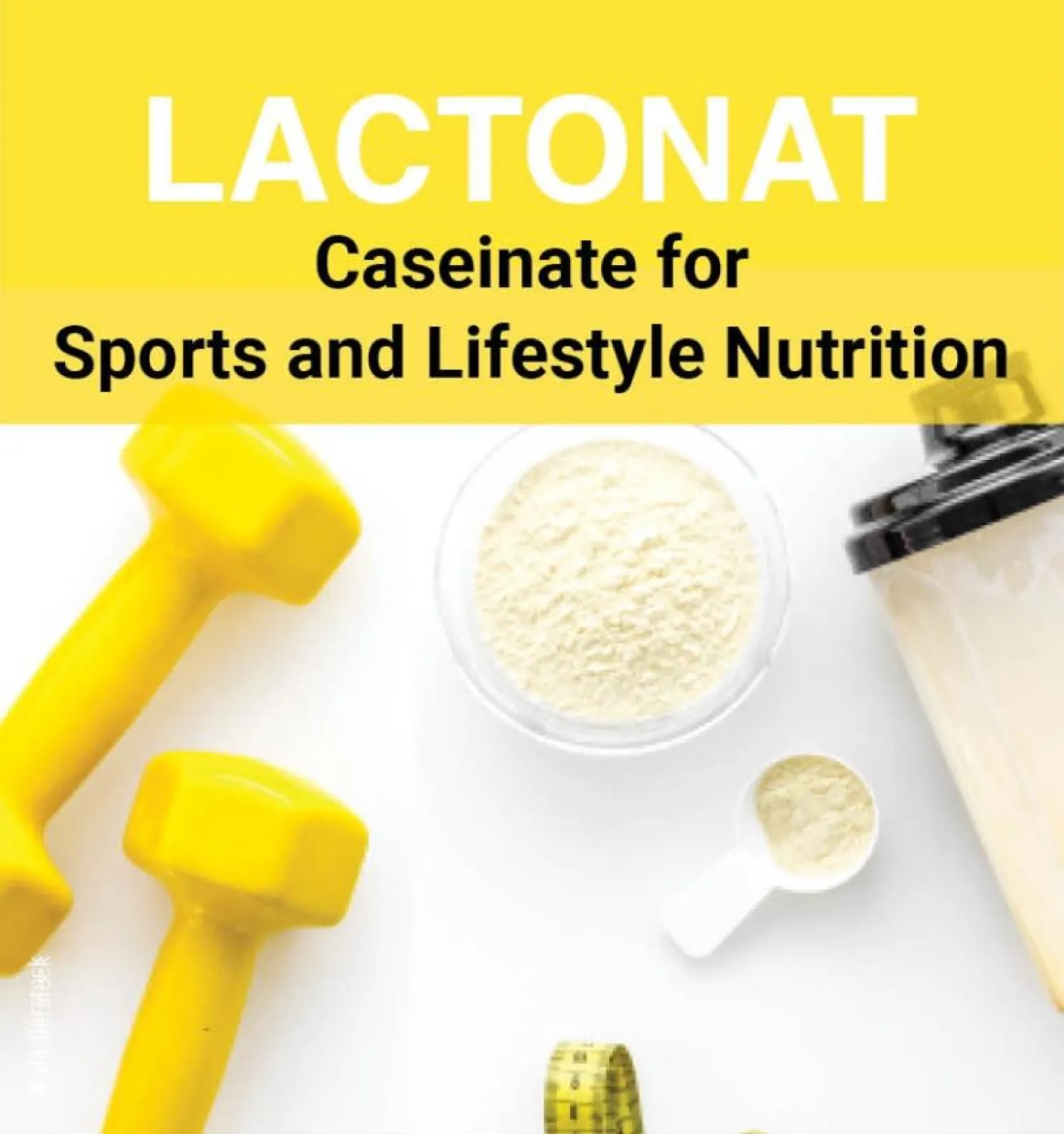 LACTONAT - caseinate for sports and lifestyle nutrition