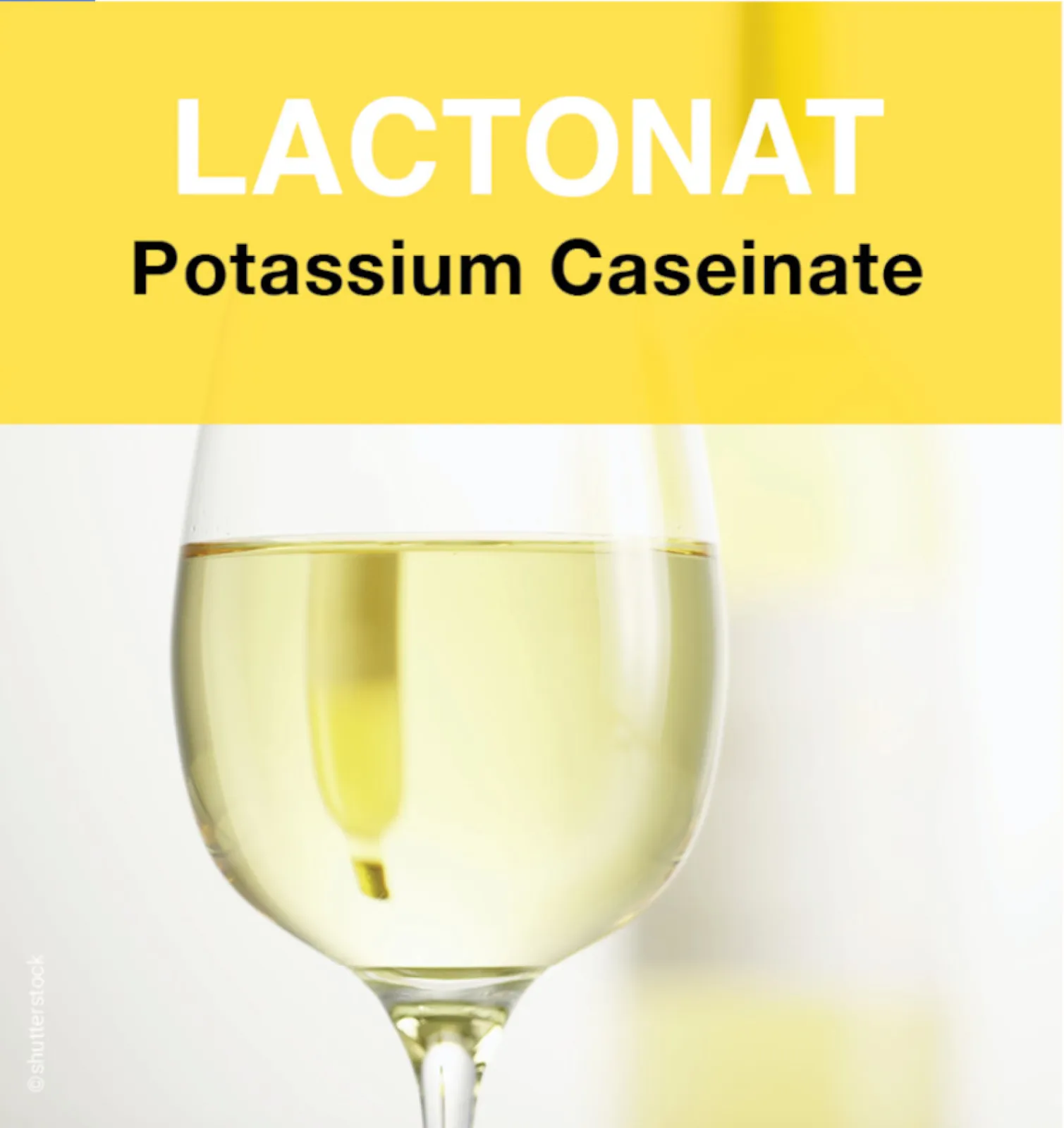 LACTONAT - potassium caseinate for wine