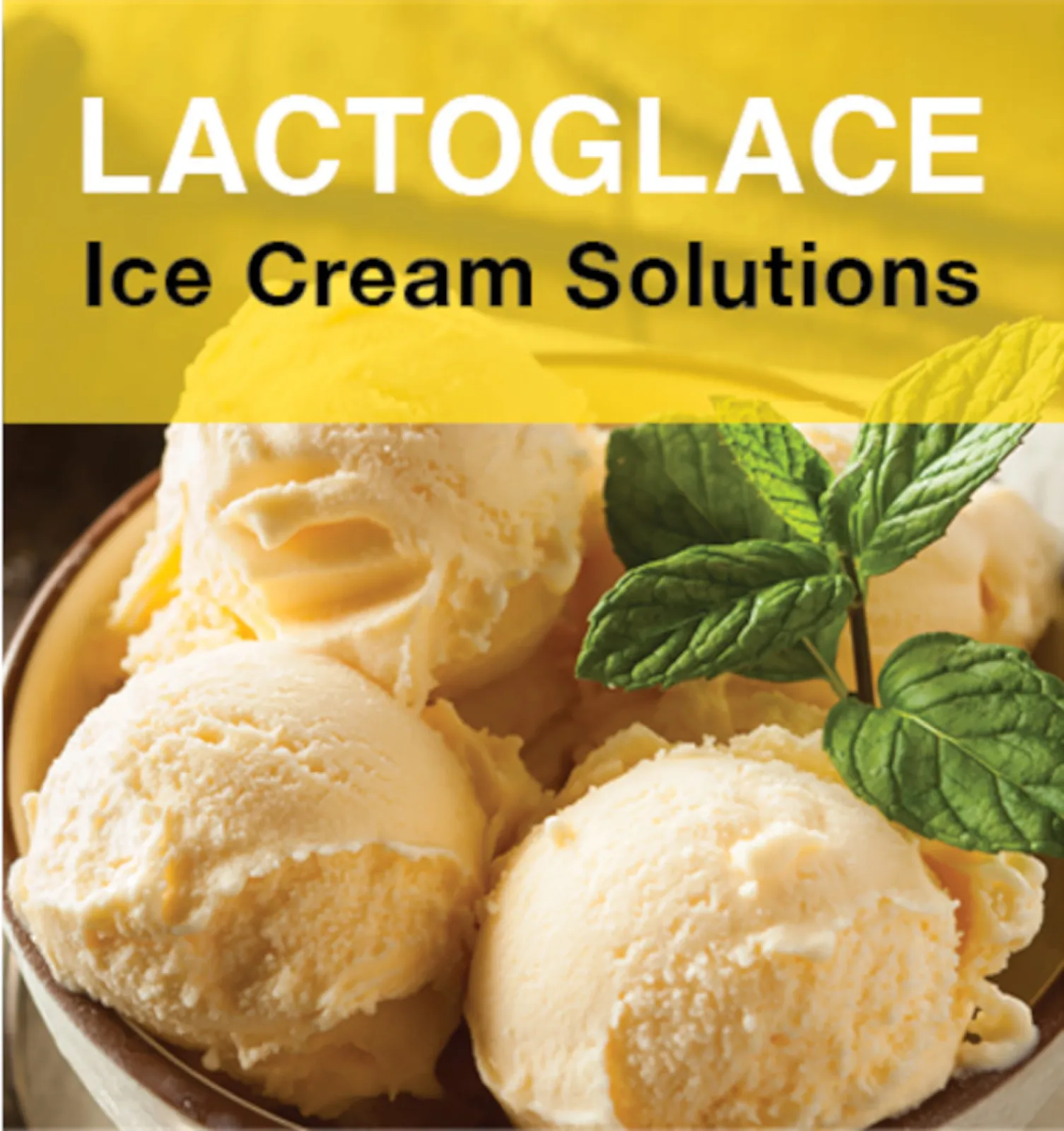 LACTOGLACE - ice cream solutions