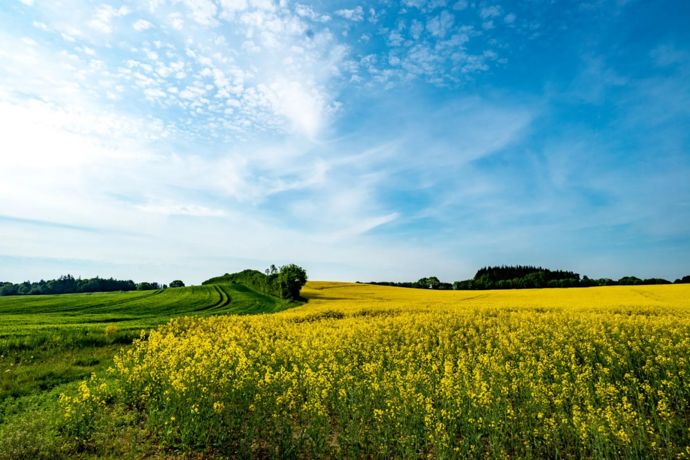 Find out how we balance delivering natural nutrition with minimizing our environmental footprint!